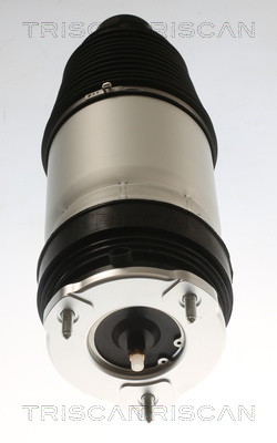 TRISCAN Luftfeder, Fahrwerk 872081101 für Tesla