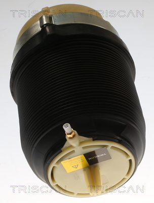 TRISCAN Luftfeder, Fahrwerk hinten rechts links für AUDI 4F0616001 4F0616001K 4F0616001J 8720 29202