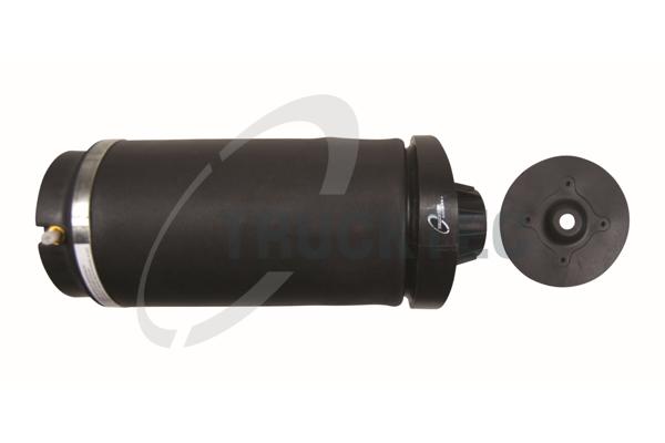TRUCKTEC AUTOMOTIVE Luftfeder, Fahrwerk 02.30.384 hinten rechts links für MERCEDES-BENZ 2513200425 A2513200025 2513200025