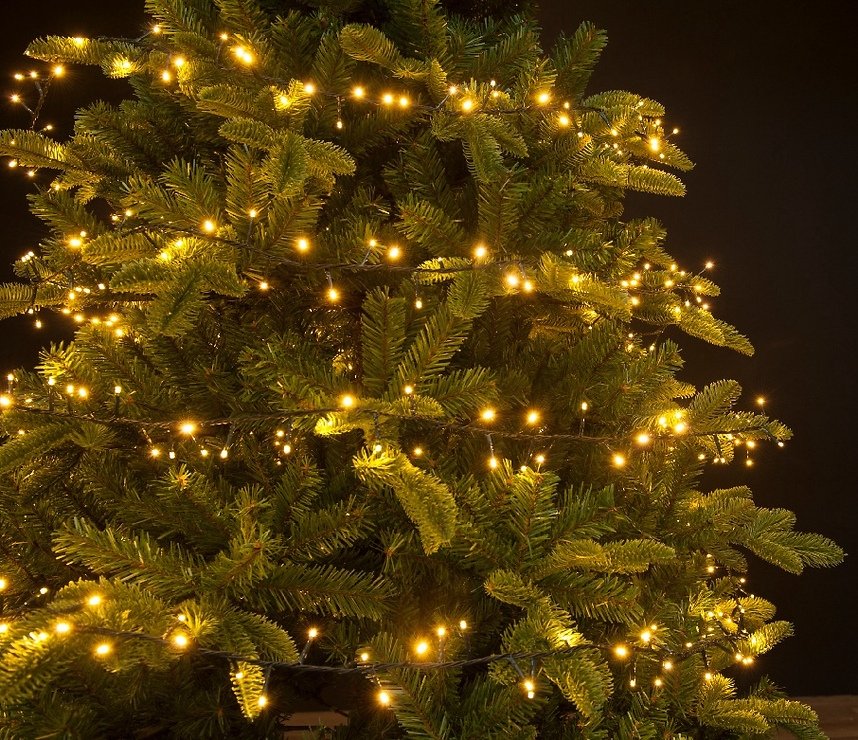 Kaemingk Lumineo Lichterkette Compact 1-2-glow 540 LED klassisch warm außen 1,8 m grün