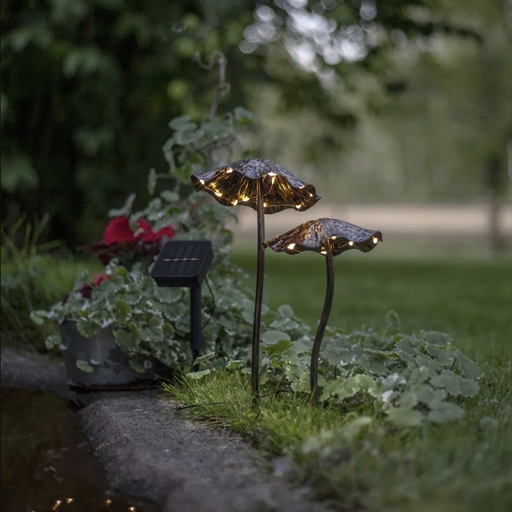 Star Trading Lumini LED Solar-Leuchtdekoration Pilz 2er Set 37 cm Bronze