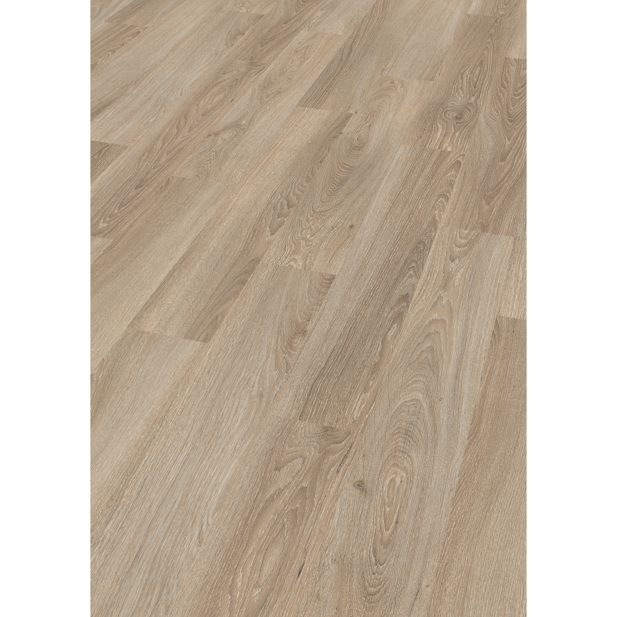 EGGER Laminat 'NatureSense' EL2730 Eiche Amiens hell 8 mm