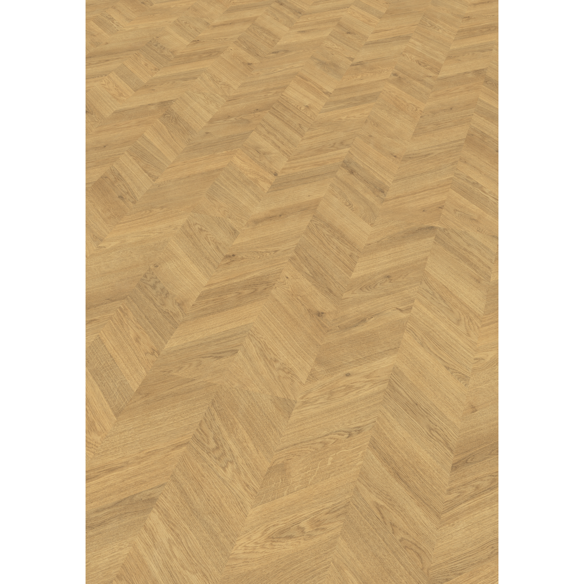 EGGER Laminat 'NatureSense' EL2923 Weinburg Eiche hell 8 mm