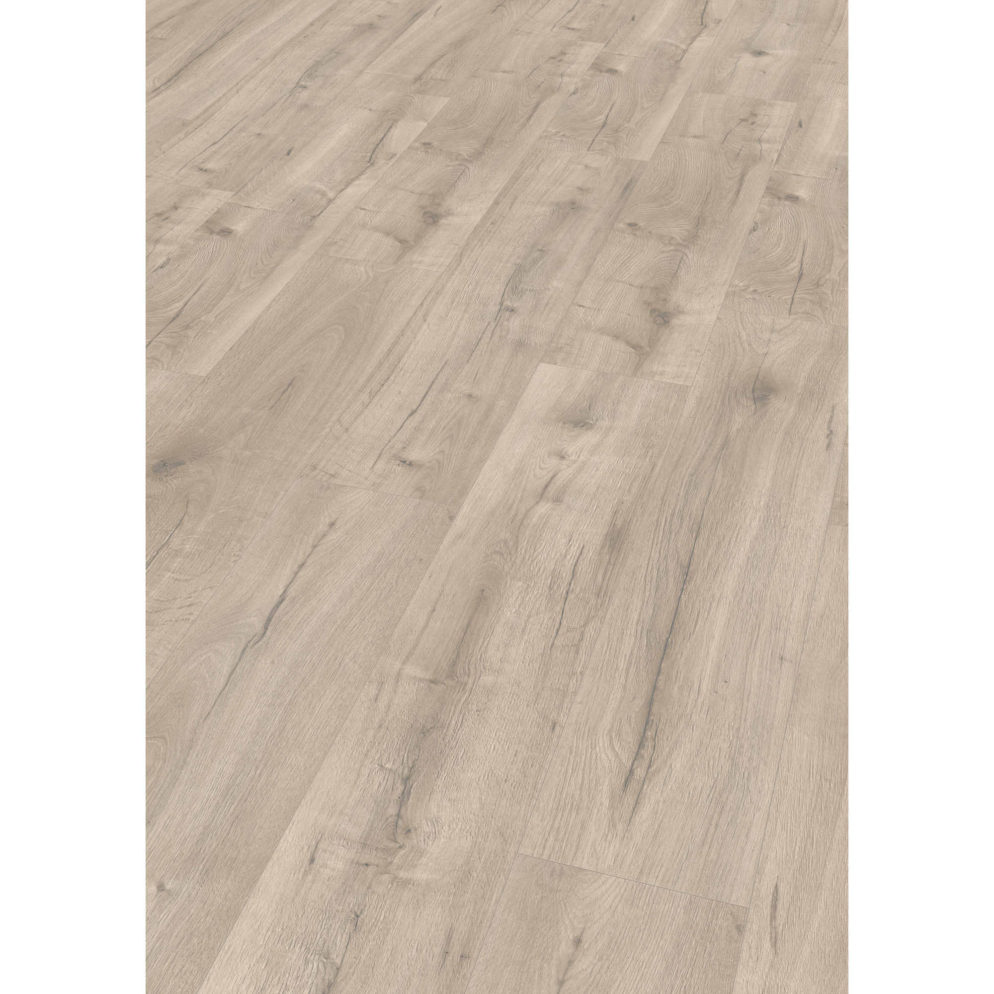 EGGER Laminat 'NatureSense' EL2154 Loja Eiche creme 8 mm