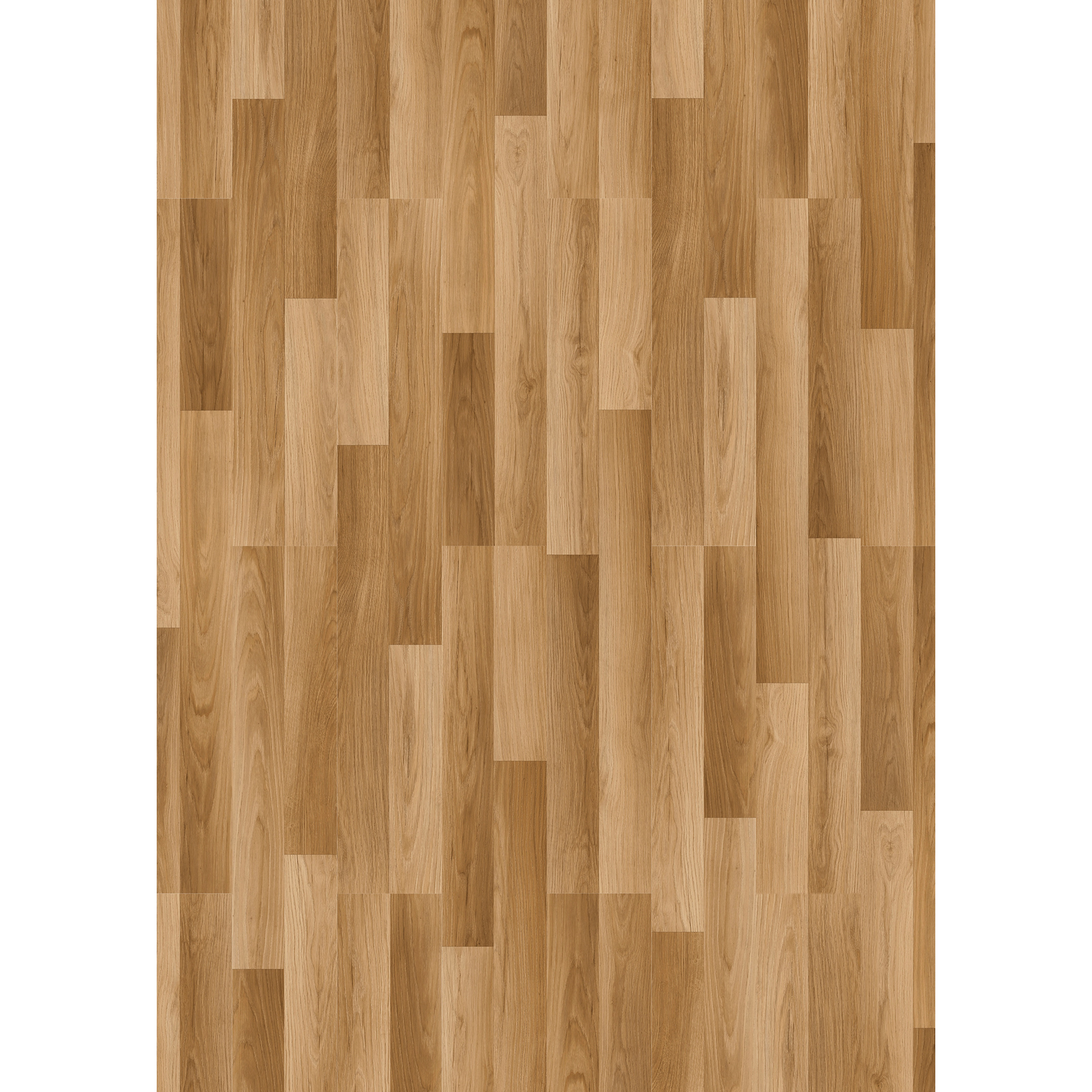 Classen Laminat '832-0' 2-Stab Eiche natur 8 mm