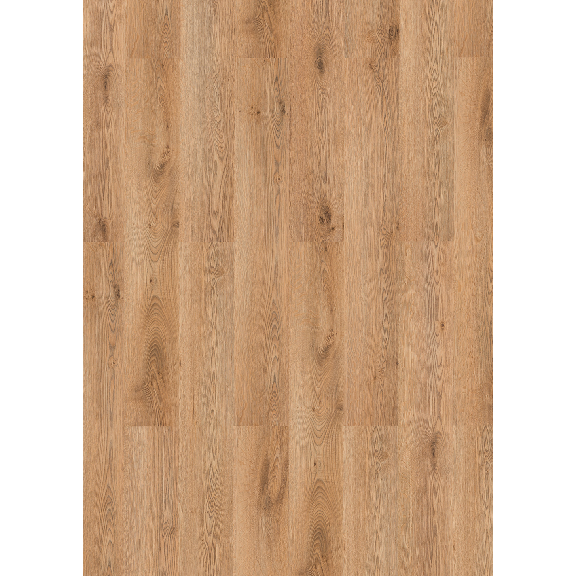 Classen Laminat '832-0' Eiche natur-beige 8 mm