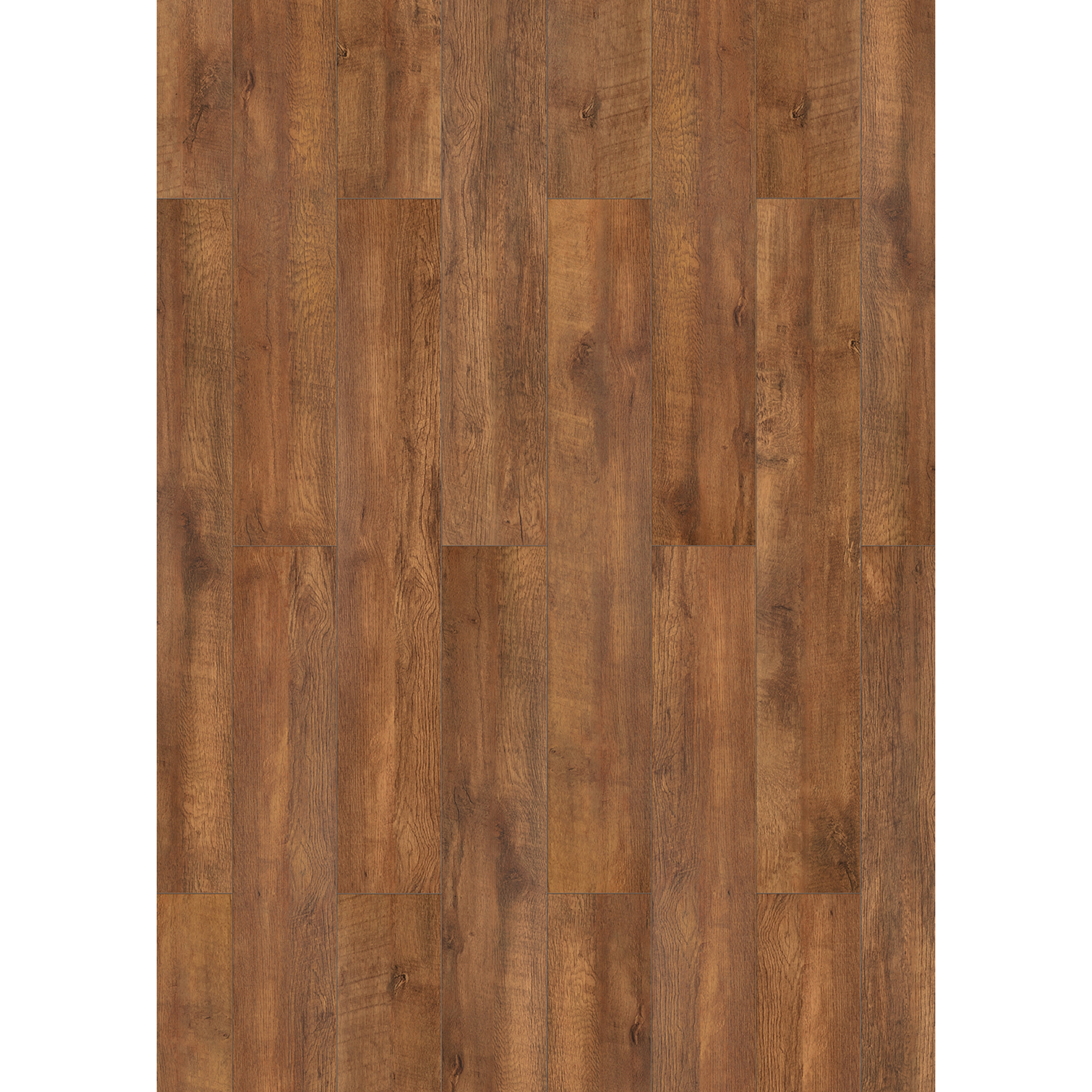 Classen Laminat '832-4' Eiche saegerau hellbraun 8 mm