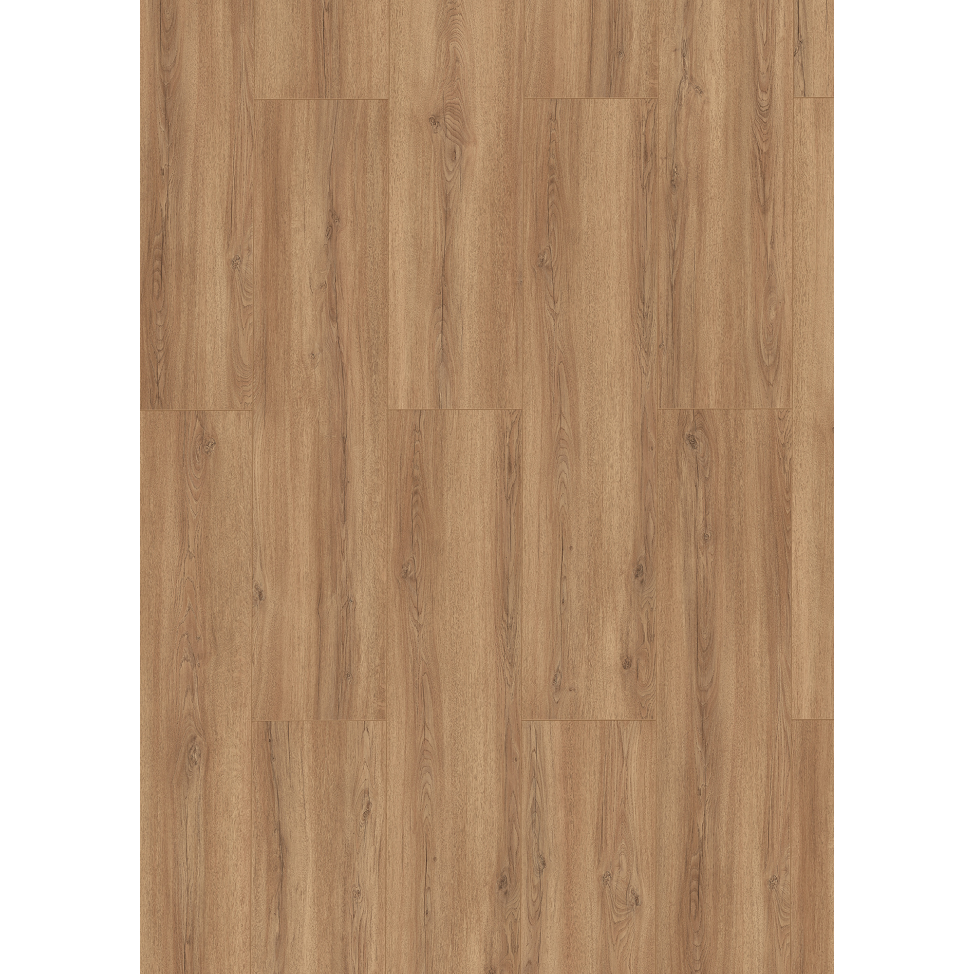 Classen Laminat '832-4' Echovale Eiche hellbraun wasserresistent 8 mm