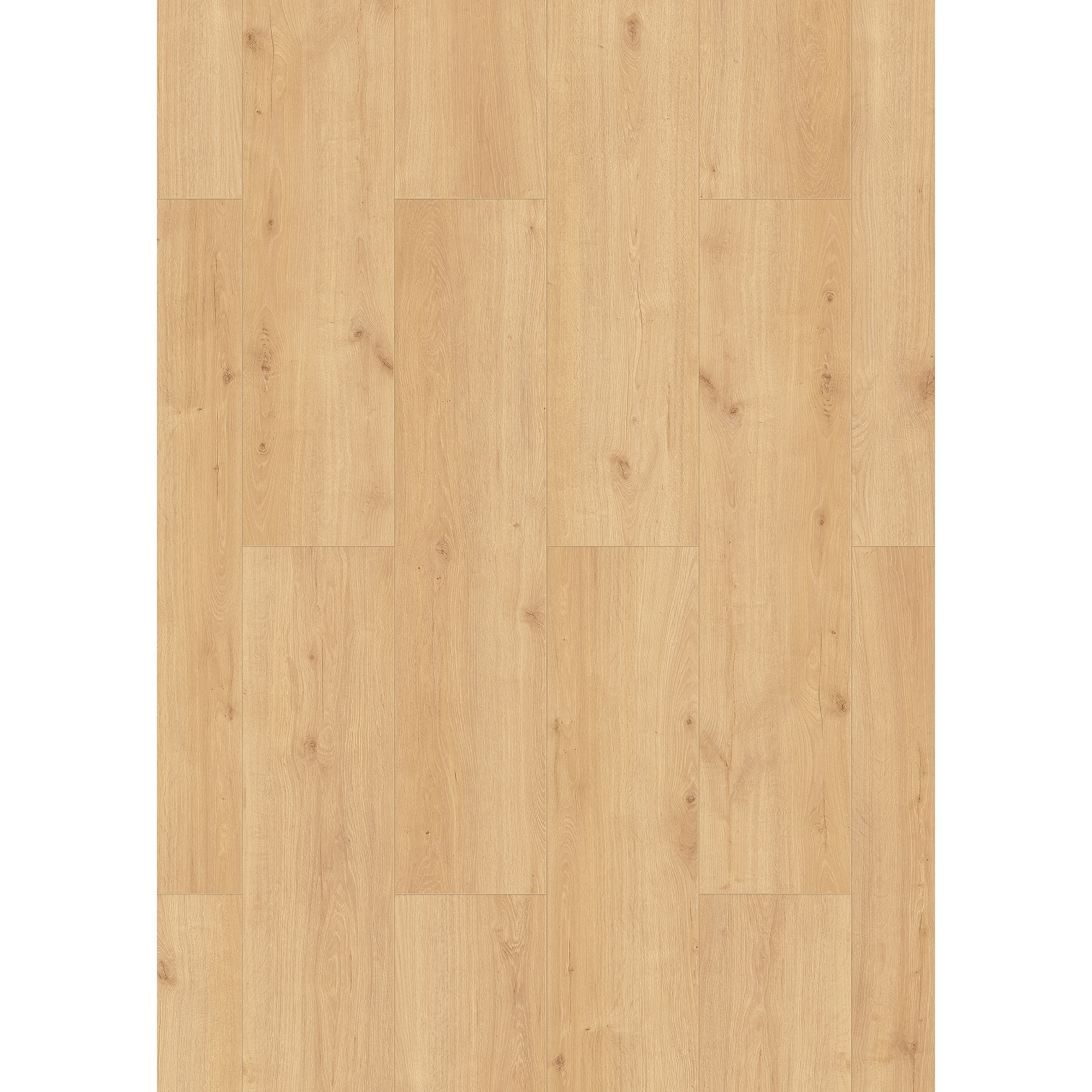 Classen Laminat 'Skyline Large Amado XL' Eiche natur 8 mm