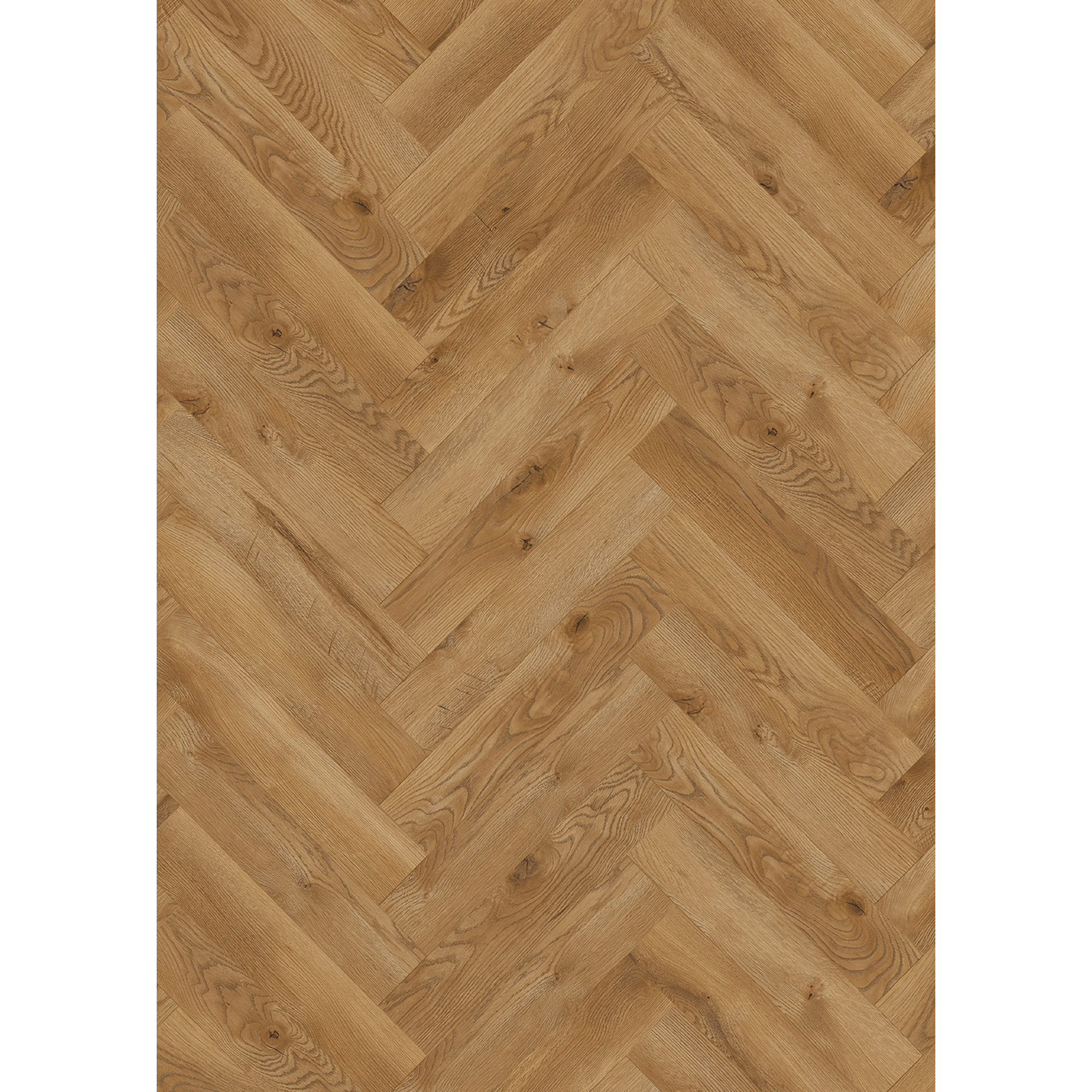 Classen Laminat 'Ville Carrito' Fischgrät Eiche goldfarben 8 mm