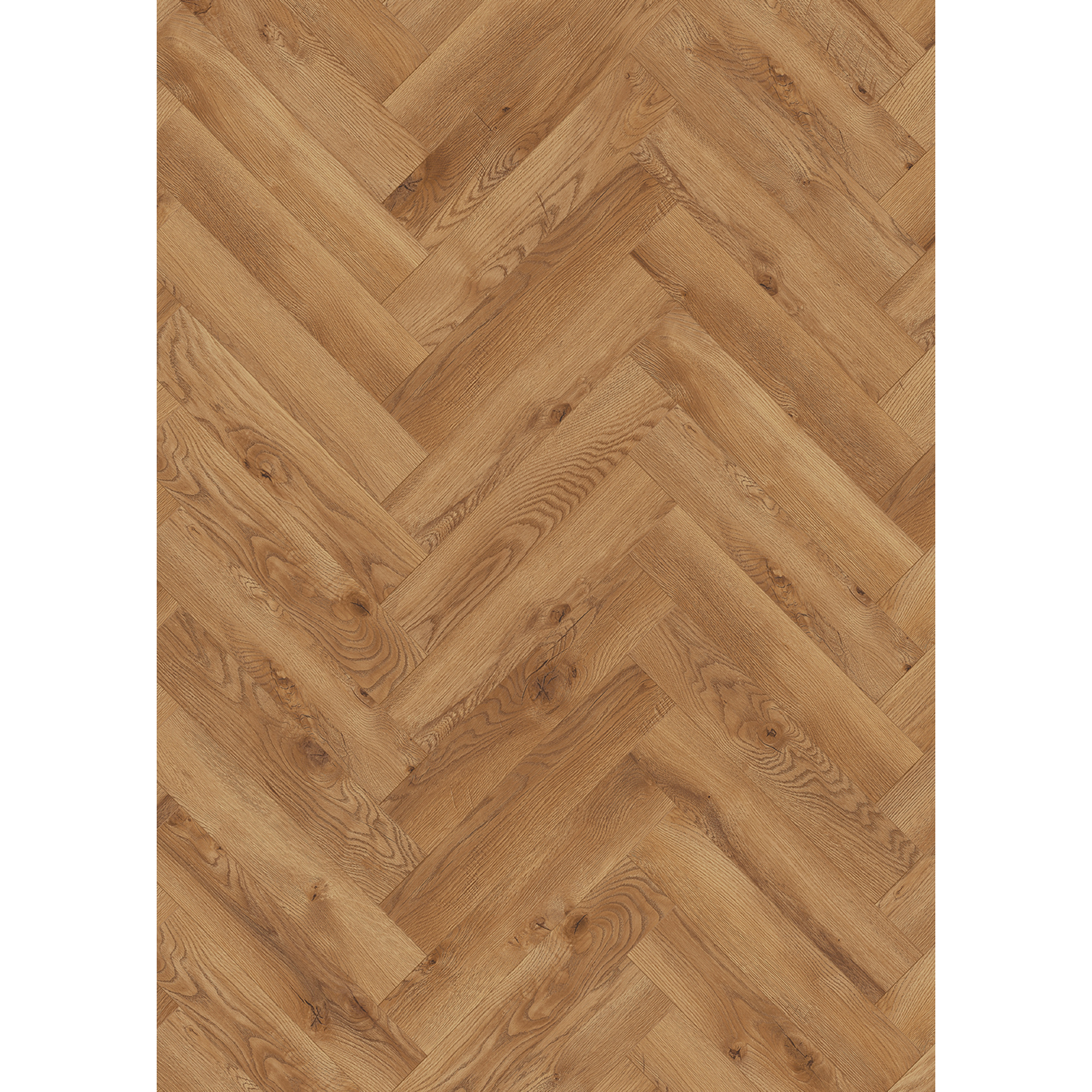 Classen Laminat 'Ville Almagro' Fischgrät Eiche natur 8 mm