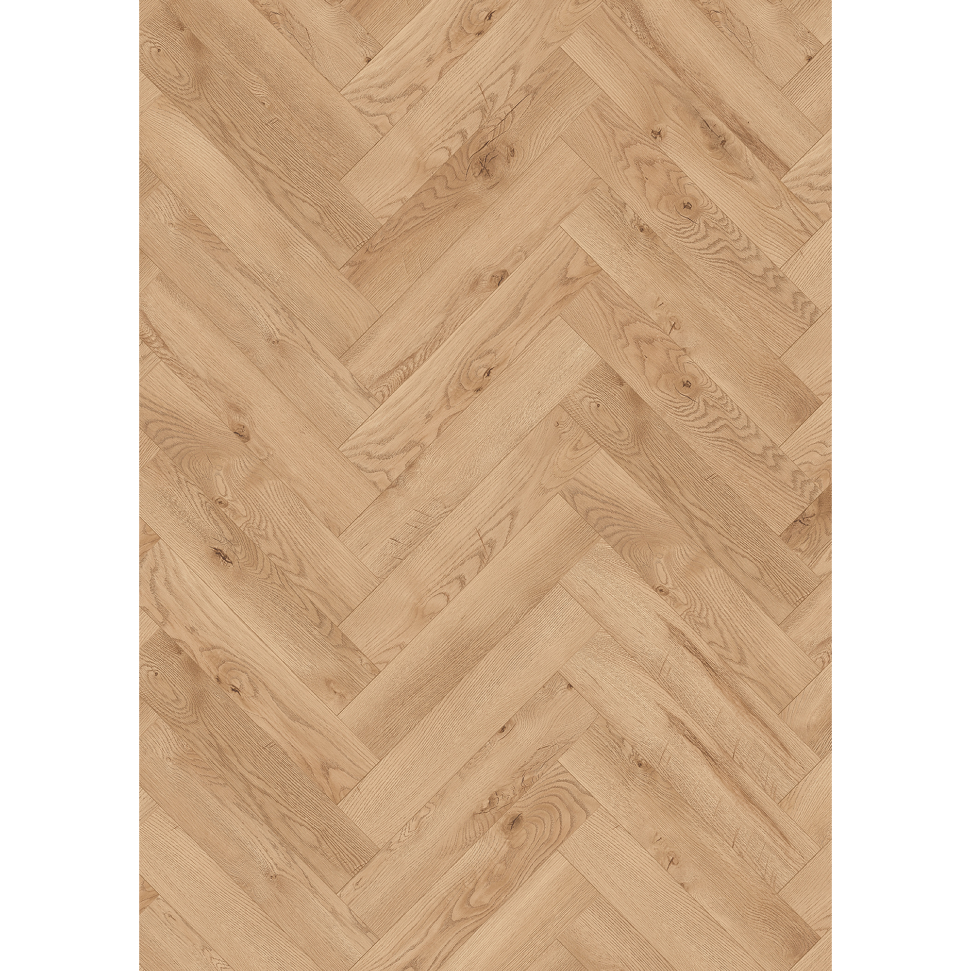 Classen Laminat 'Ville Las Negras' Fischgrät Eiche hellbeige 8 mm