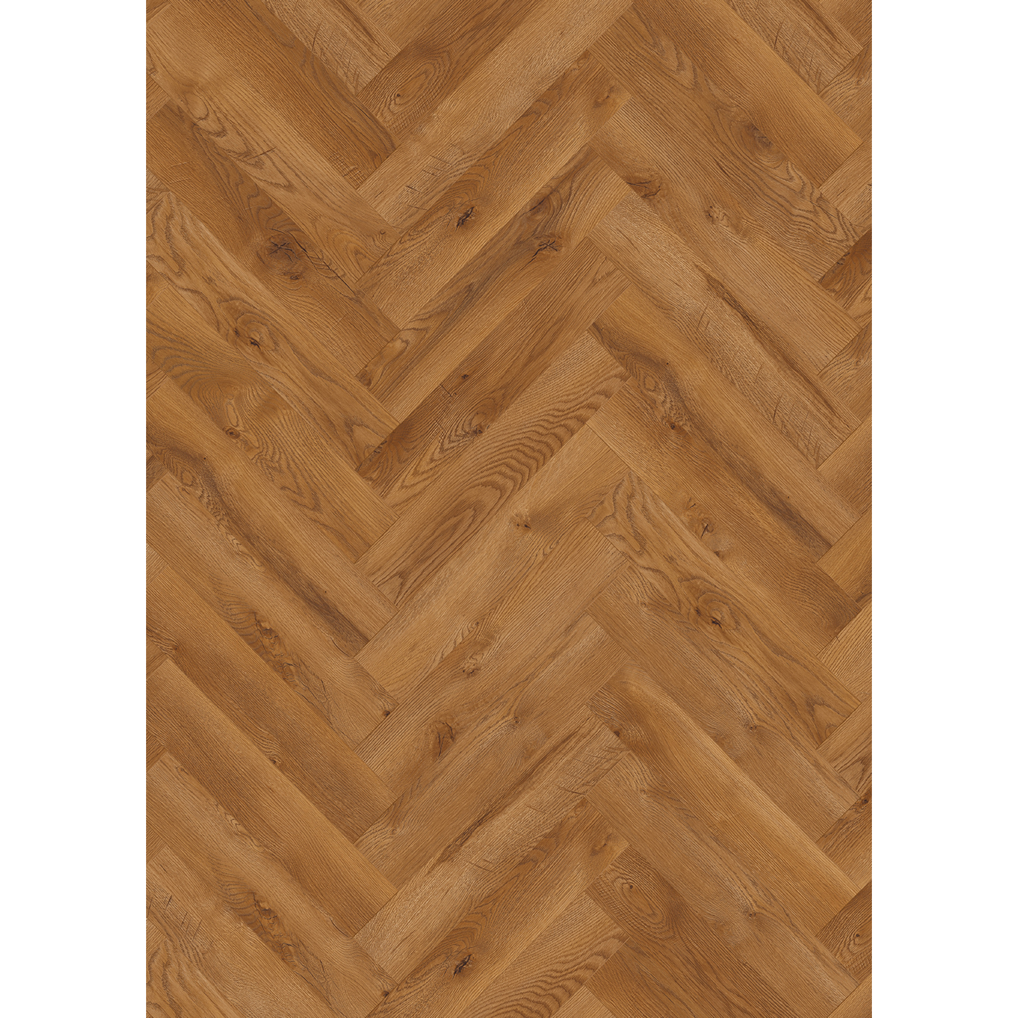 Classen Laminat 'Ville Benicarlo' Fischgrät Eiche honig 8 mm