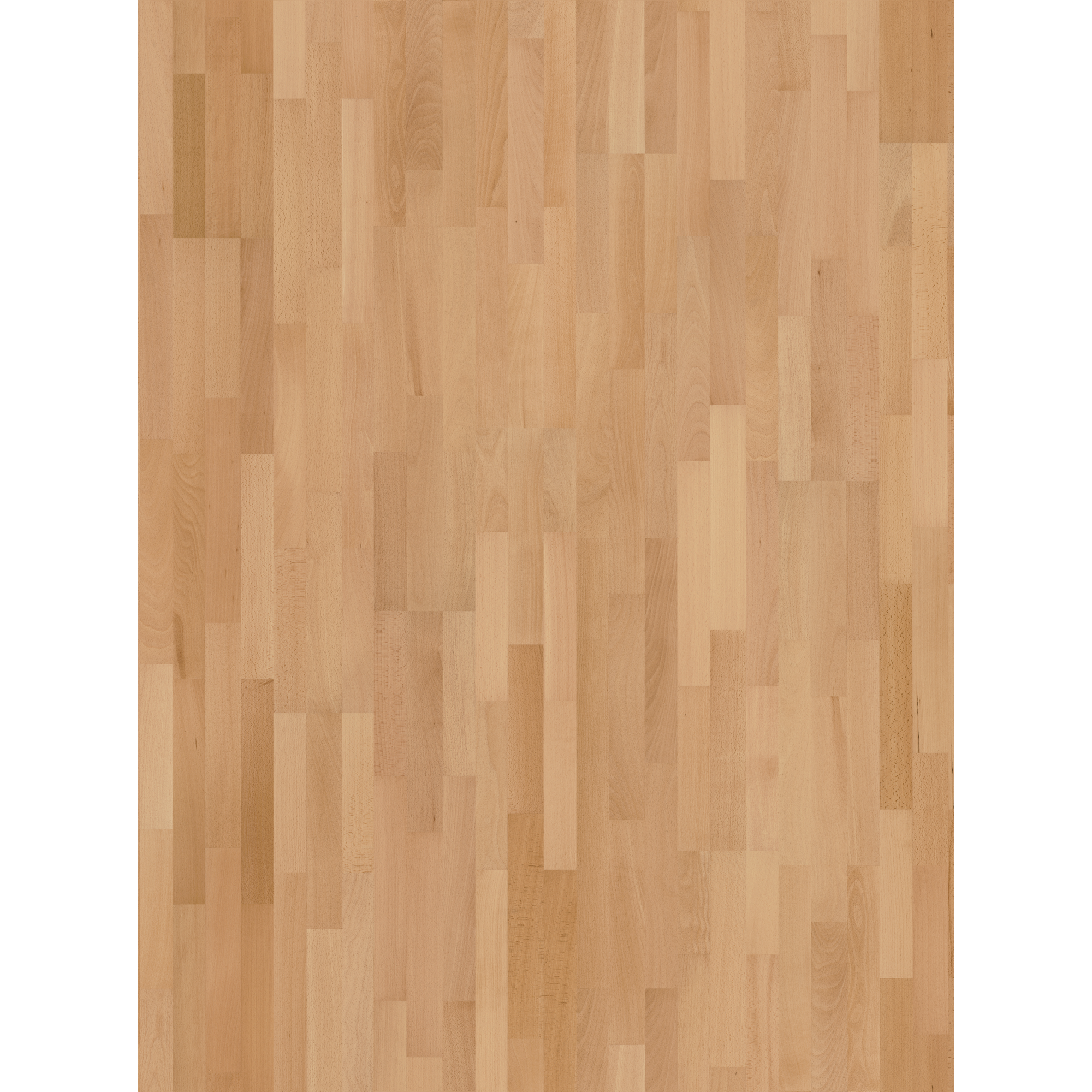 Parador Parkett 'Basic 11-5' Buche Natur lackversiegelt matt 11,5 mm