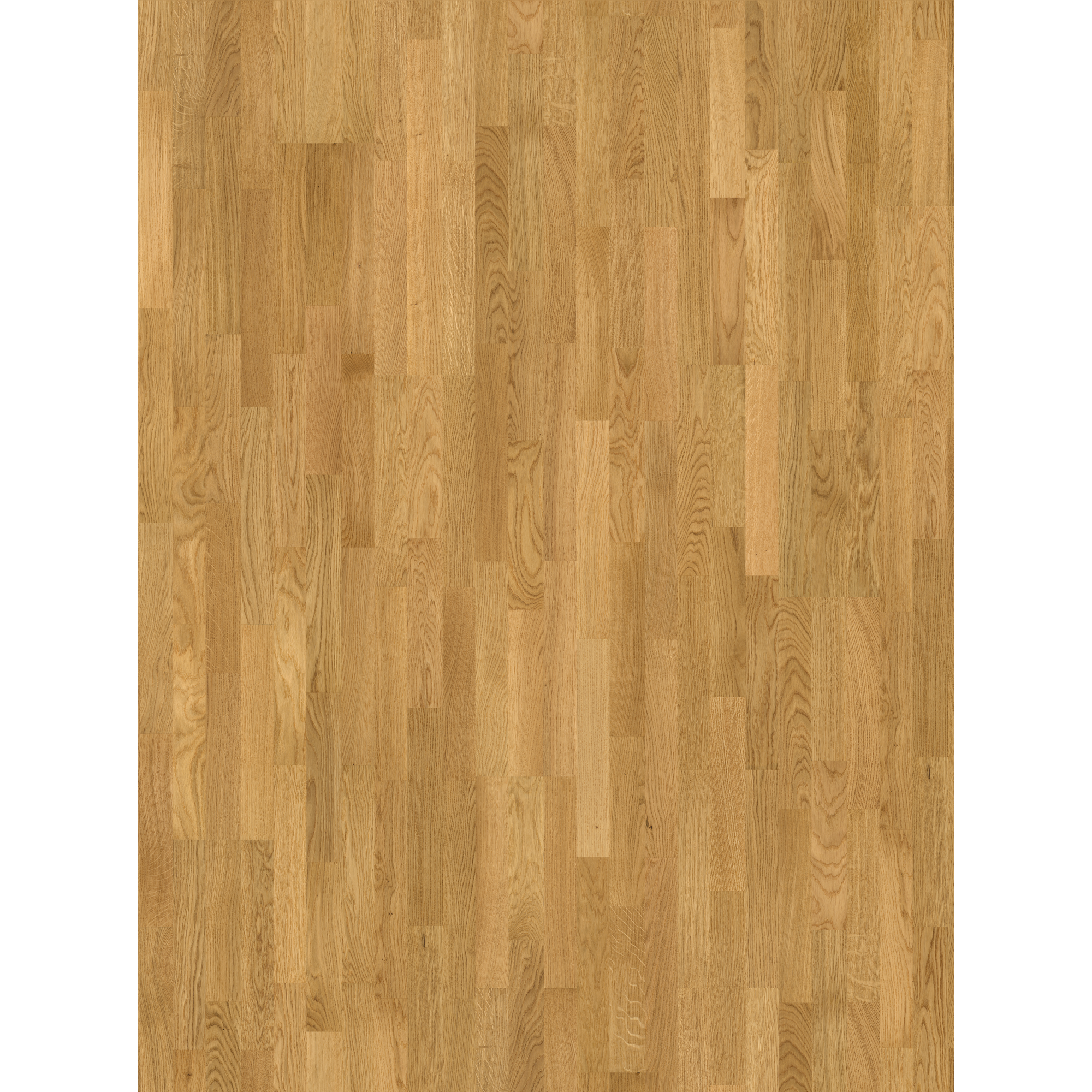 Parador Parkett 'Basic 11-5' Eiche Natur lackversiegelt matt 11,5 mm