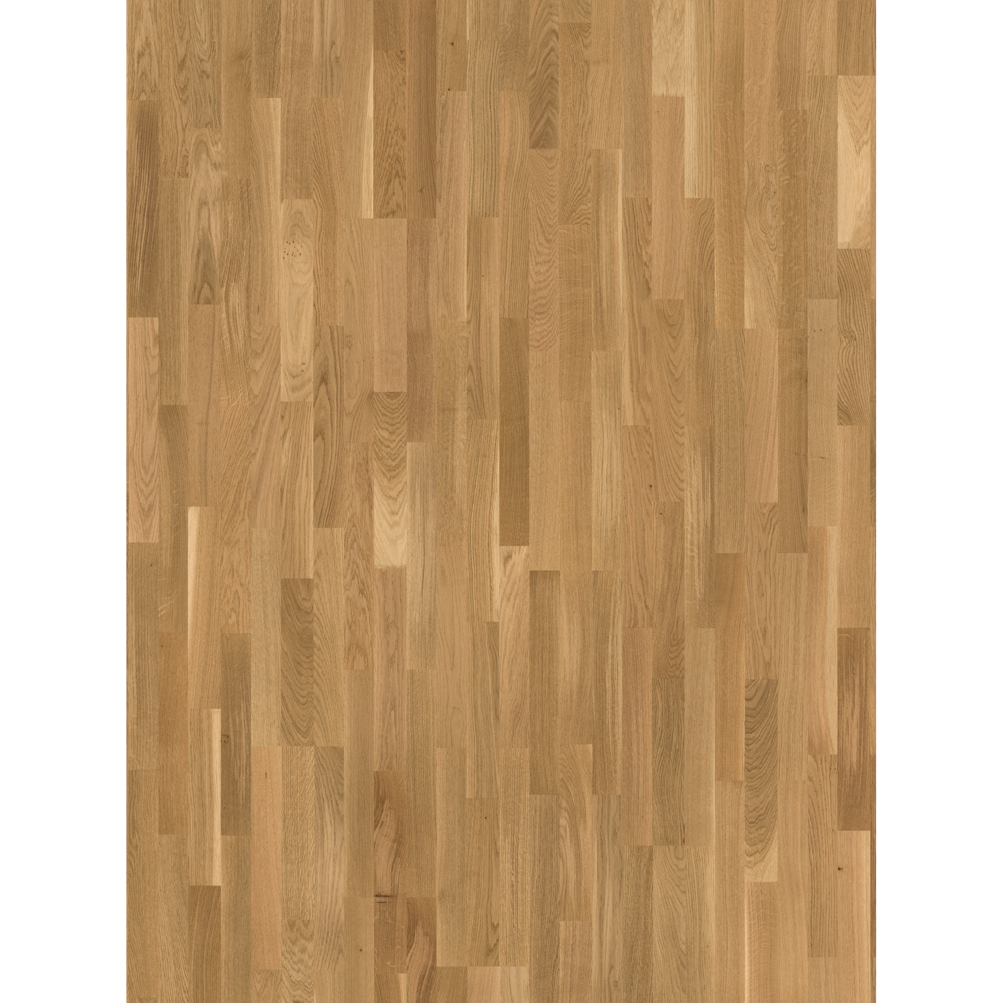 Parador Parkett 'Basic 11-5' Eiche Rustikal lackversiegelt matt 11,5 mm