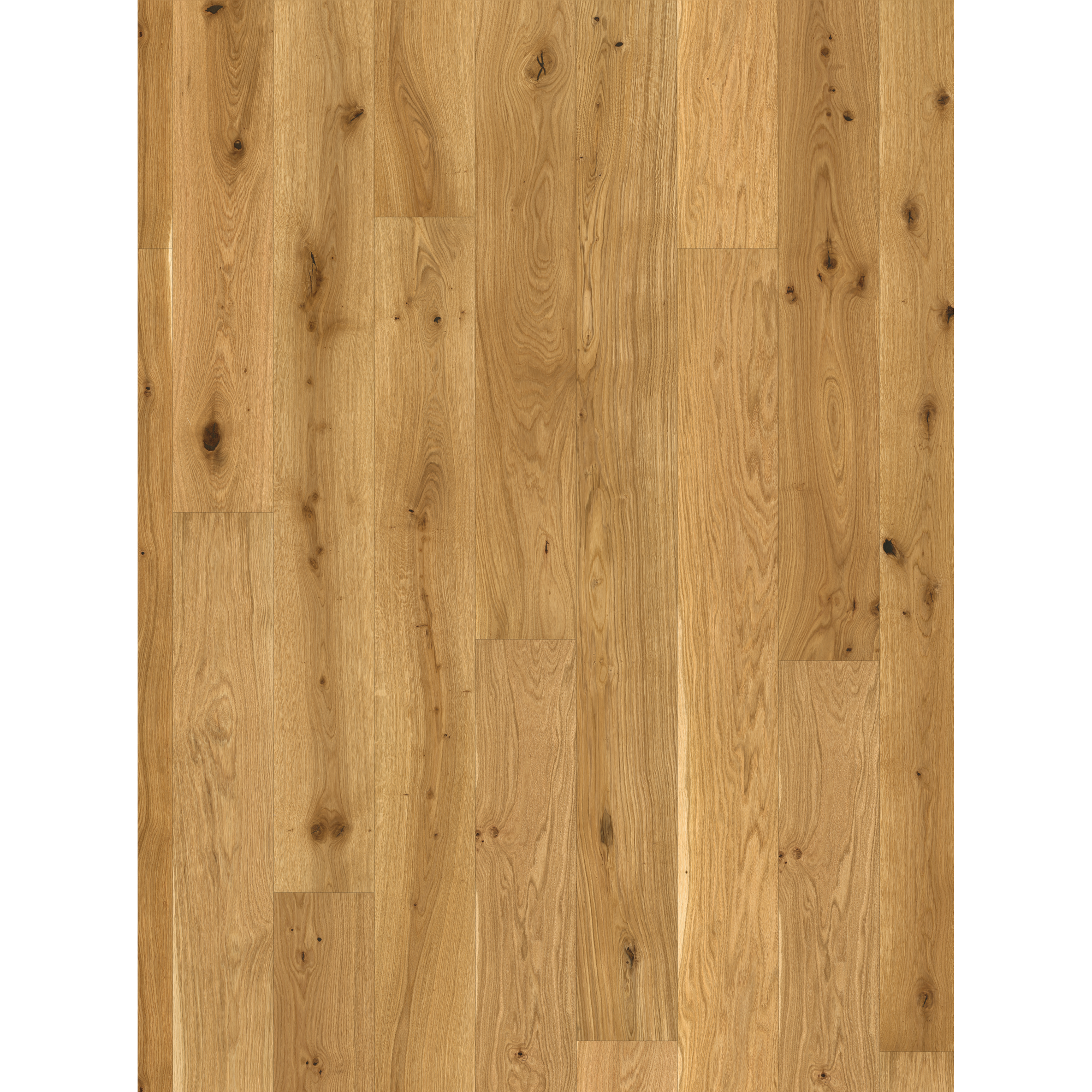 Parador Parkett 'Basic 11-5' Eiche Rustikal gebürstet naturgeölt 11,5 mm