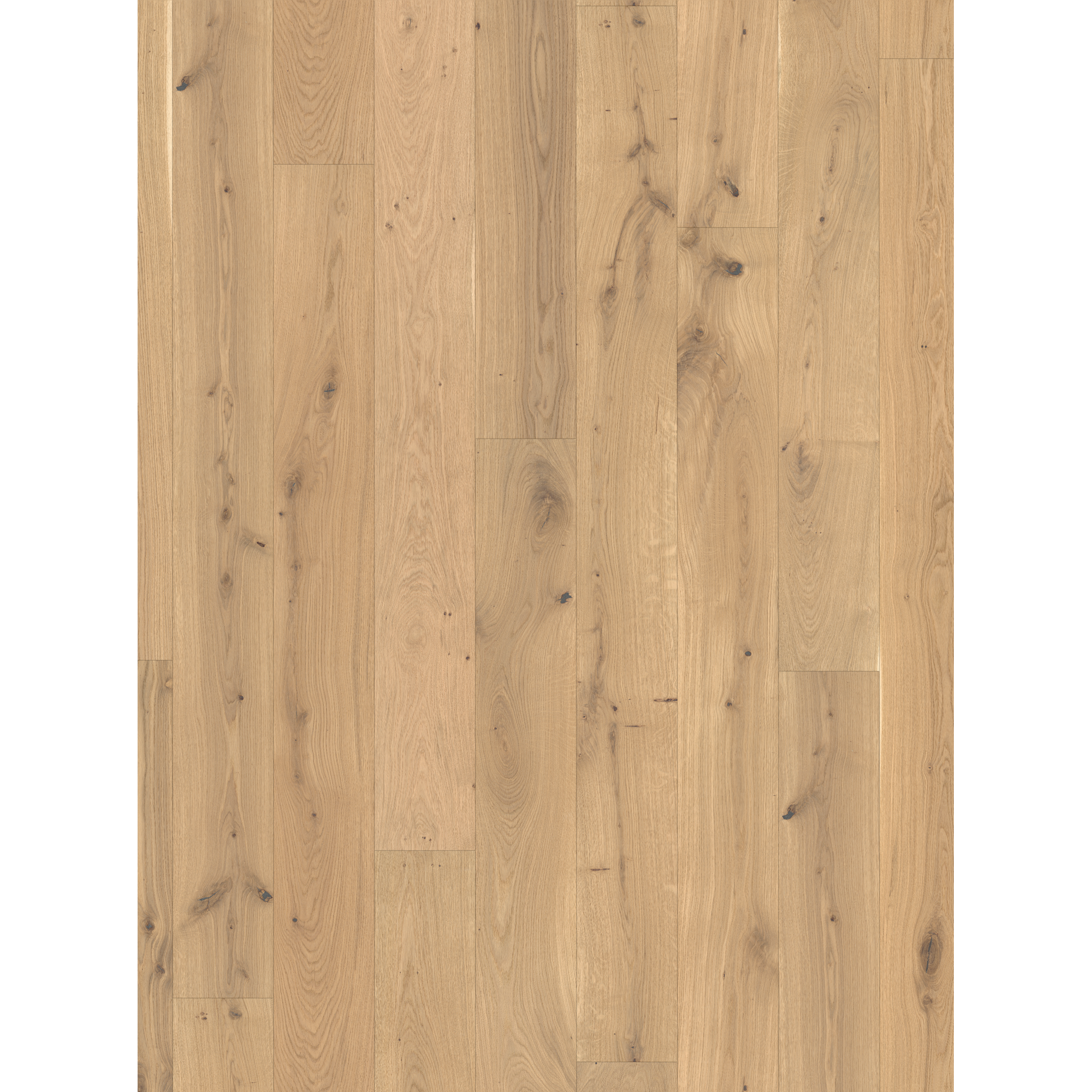 Parador Parkett 'Basic 11-5' Eiche Rustikal hell gebürstet naturgeölt 11,5 mm