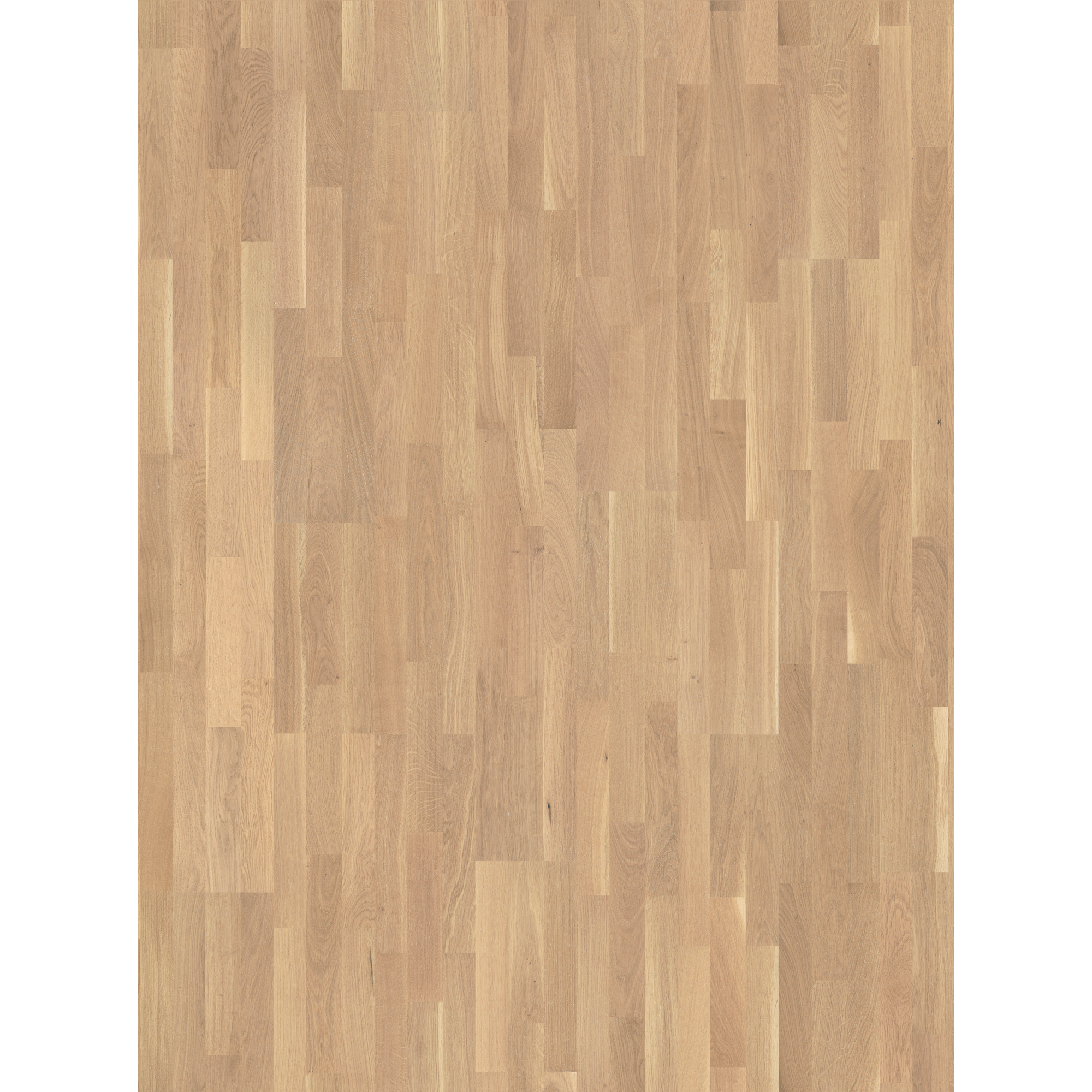 Parador Parkett 'Basic 11-5' Eiche Rustikal hell lackversiegelt 11,5 mm