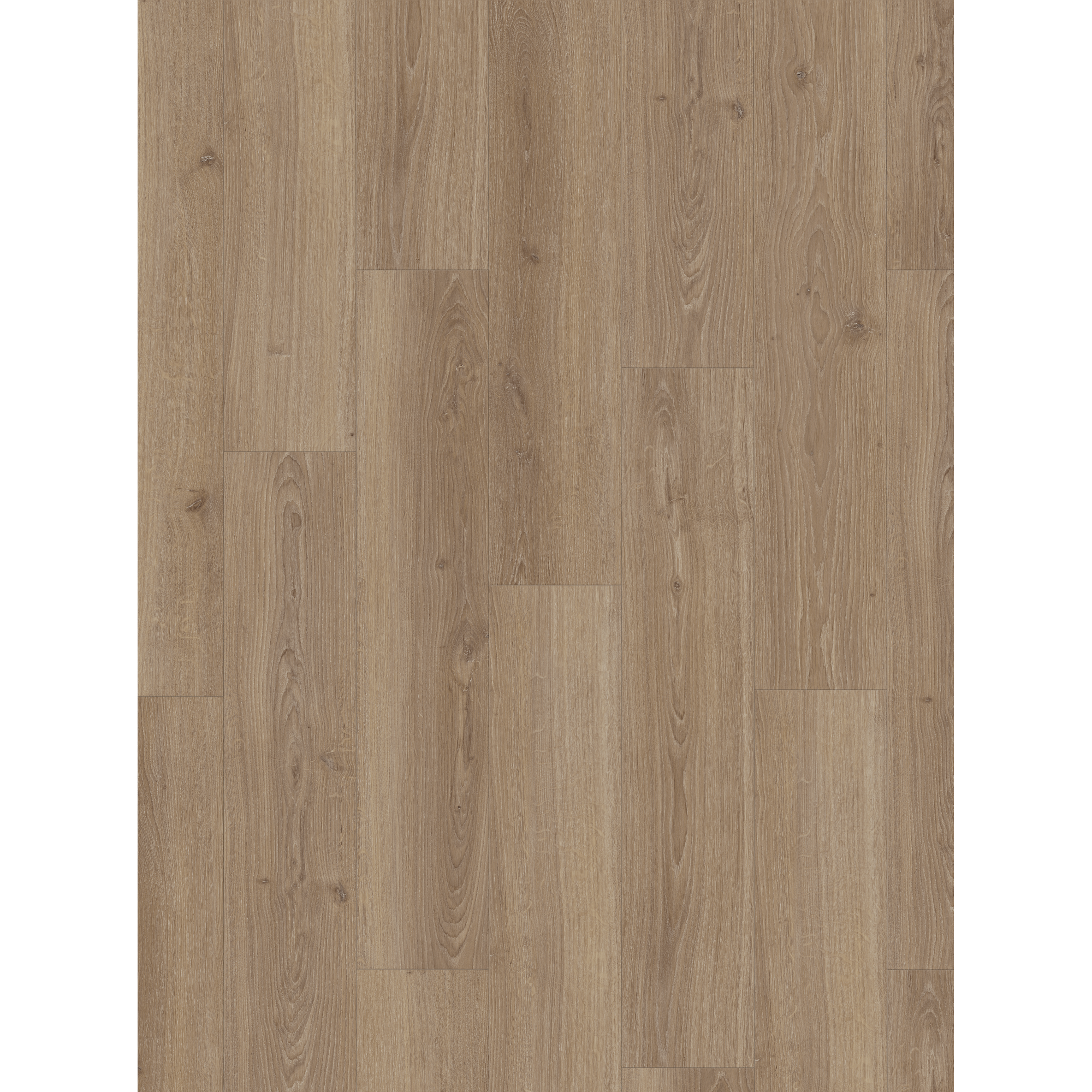 Parador Laminat 'Basic 600' Eiche Studioline macchiato 8 mm