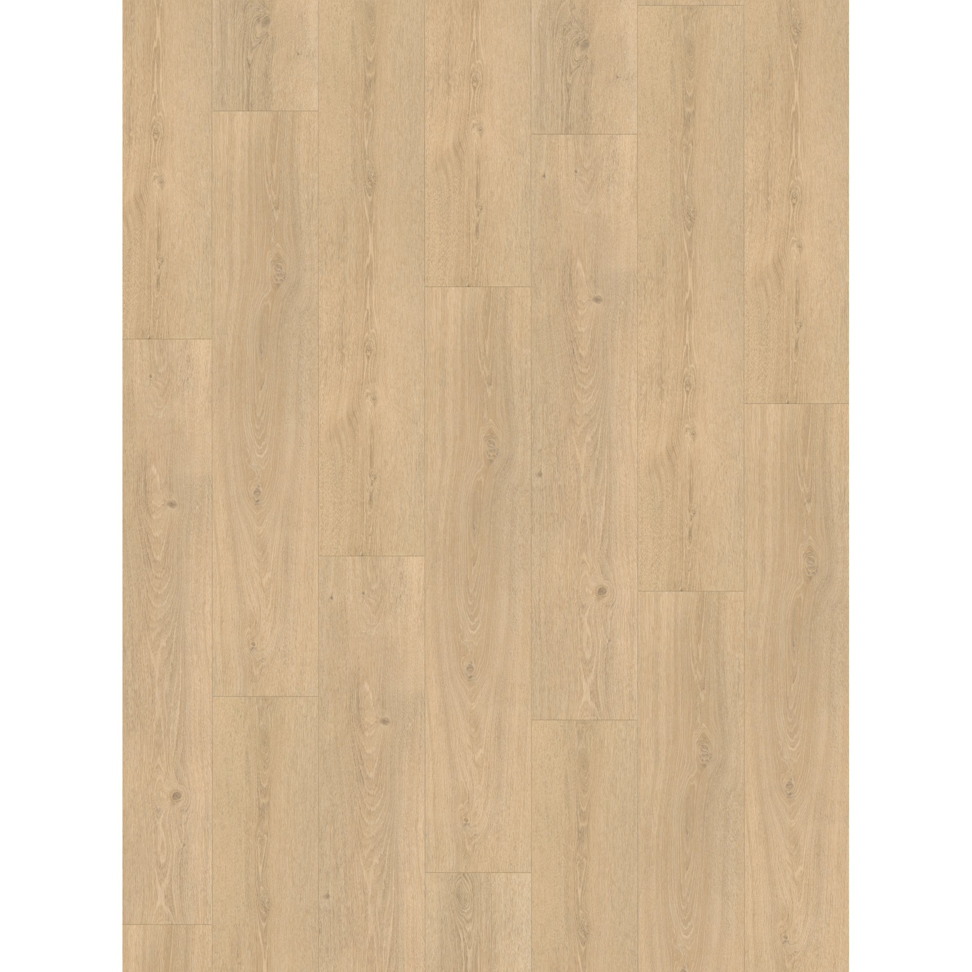 Parador Designboden 'Basic 5.3' Eiche Studioline braun geschliffen 5,3 mm