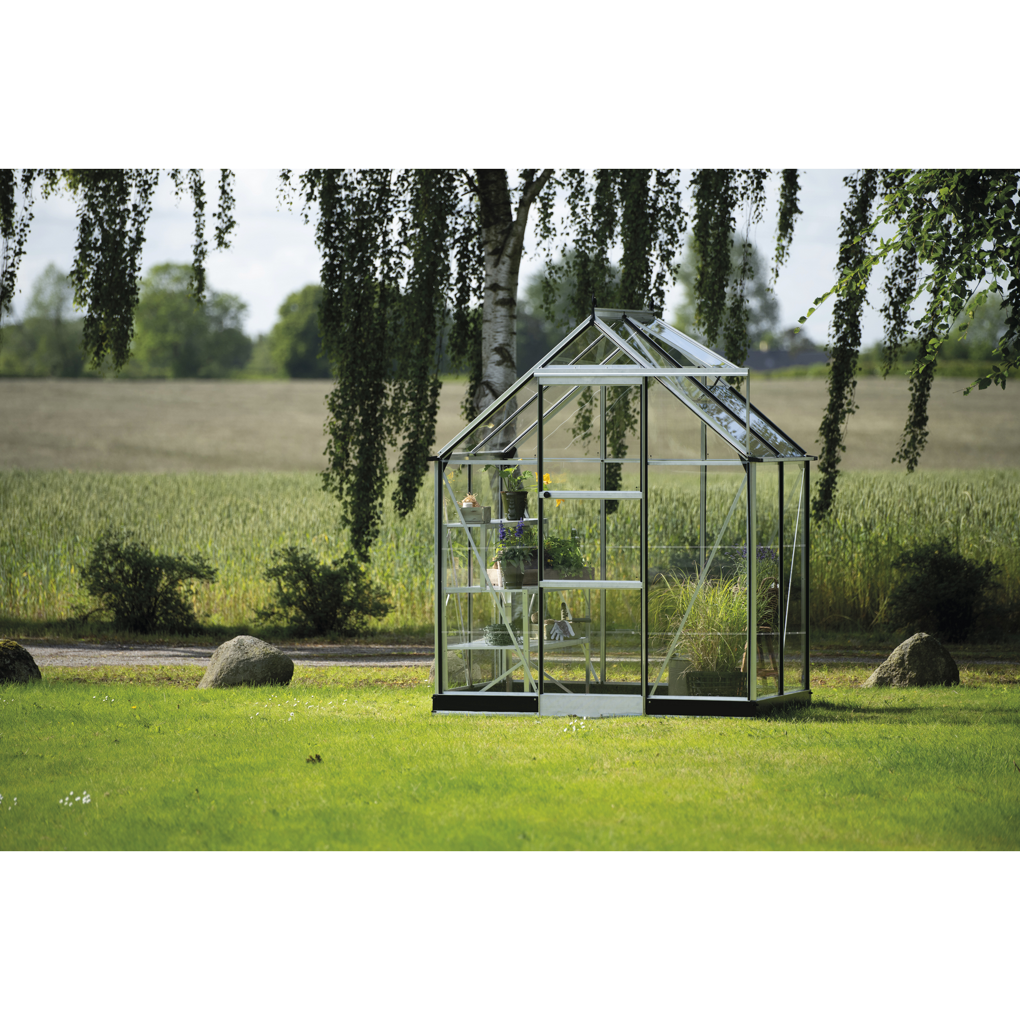 Halls Gewächshaus 'ICON 6' 192,5 x 130,3 cm mit 3 mm Blankglas aluminiumfarben