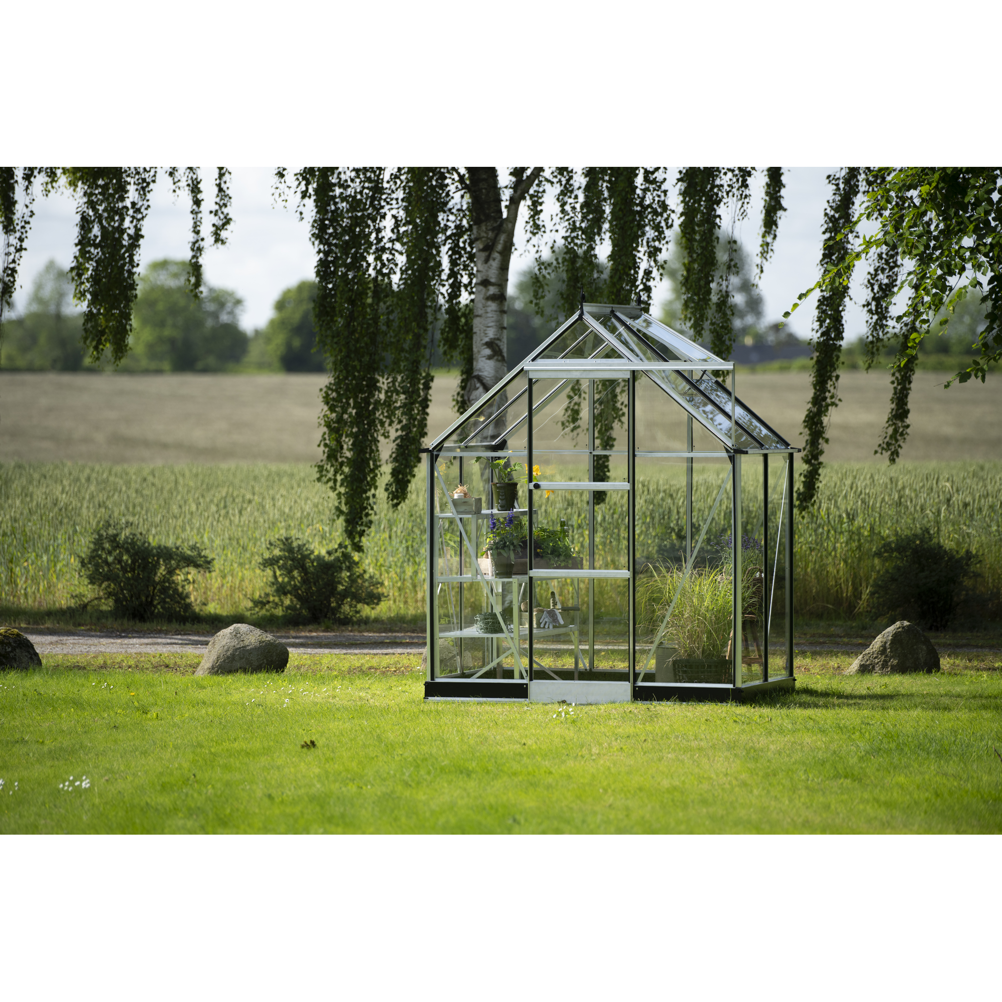 Halls Gewächshaus 'ICON 6' 192,5 x 130,3 cm mit 3 mm Sicherheitsglas aluminiumfarben