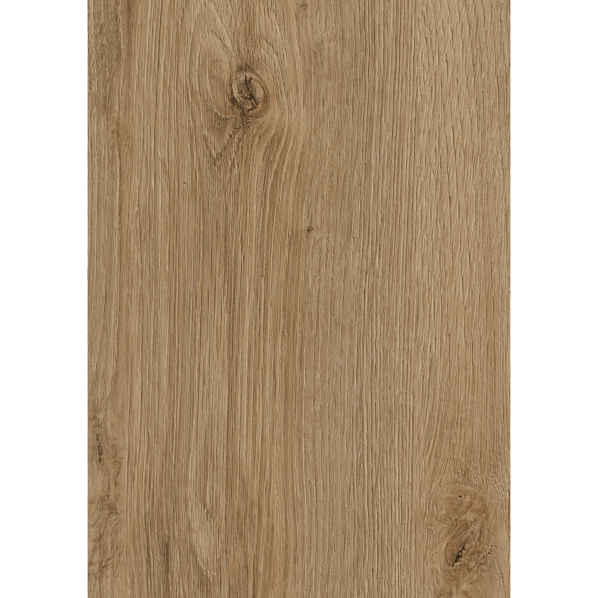 Kaindl Laminat 'Eiche Evoke Trend K4421 EG' 7 mm