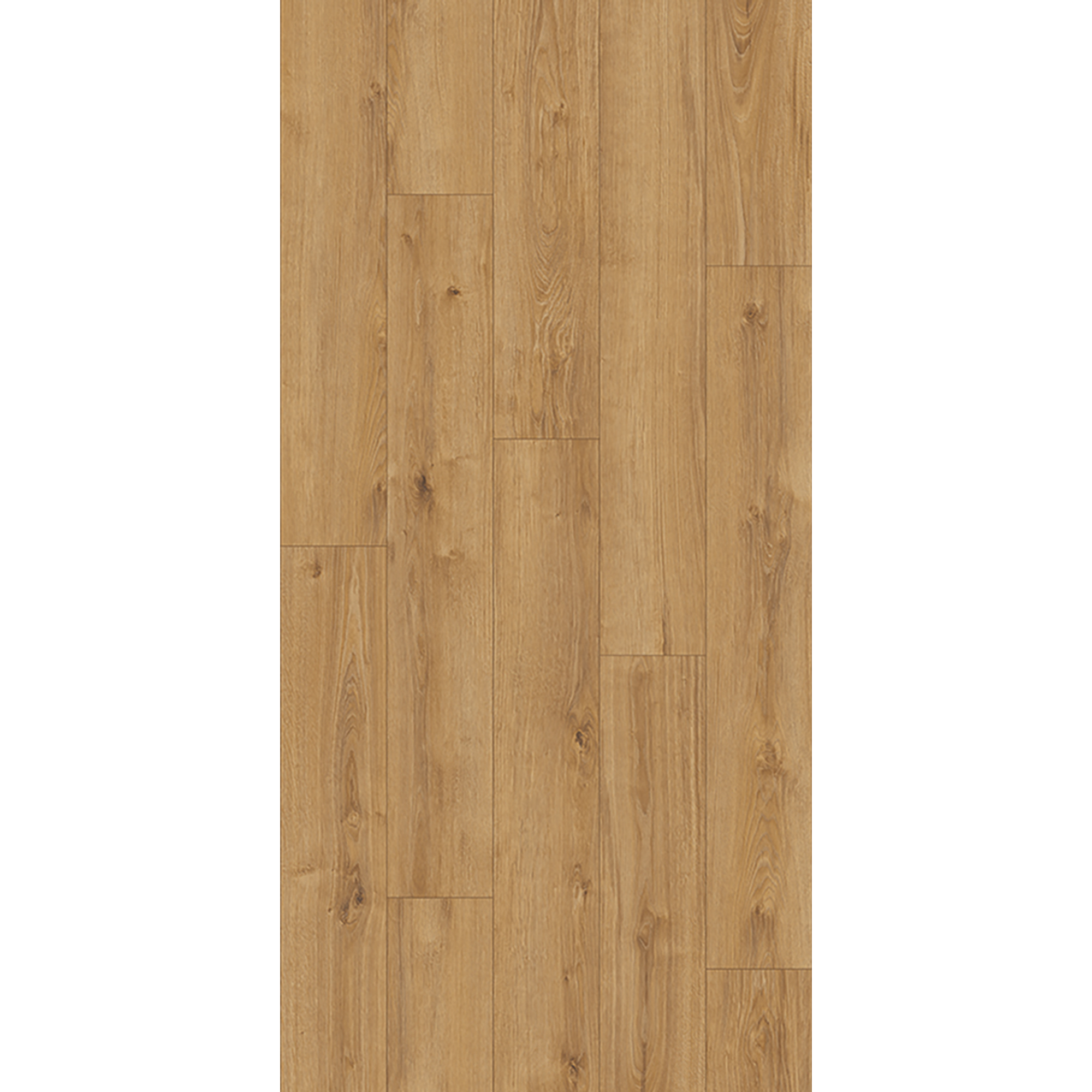 Kronoflooring Laminat 'Old Camberwick Oak' Holznachbildung 8 mm