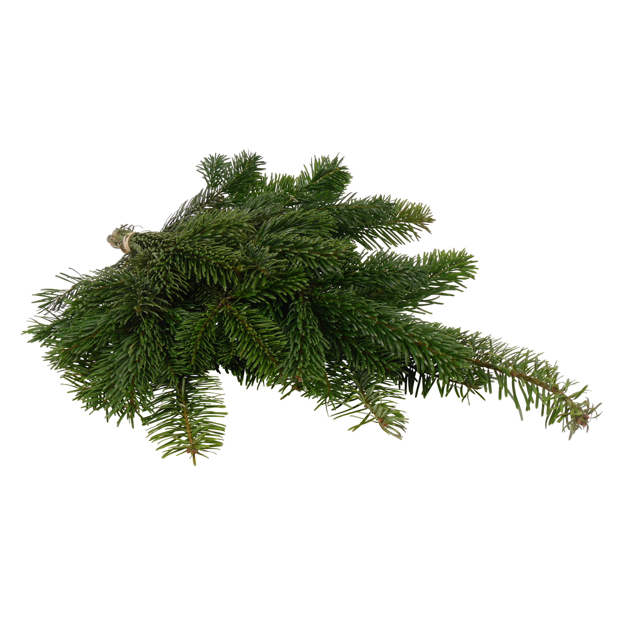 Handbund-Tannengrün Nordmanntanne 500 g