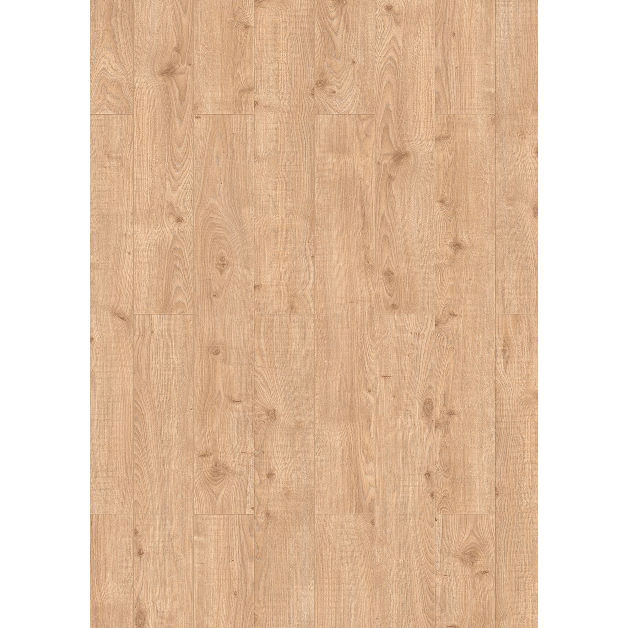 Classen Laminat '832-4 XL WR' Eiche sägerau natur wasserresistent 8 mm