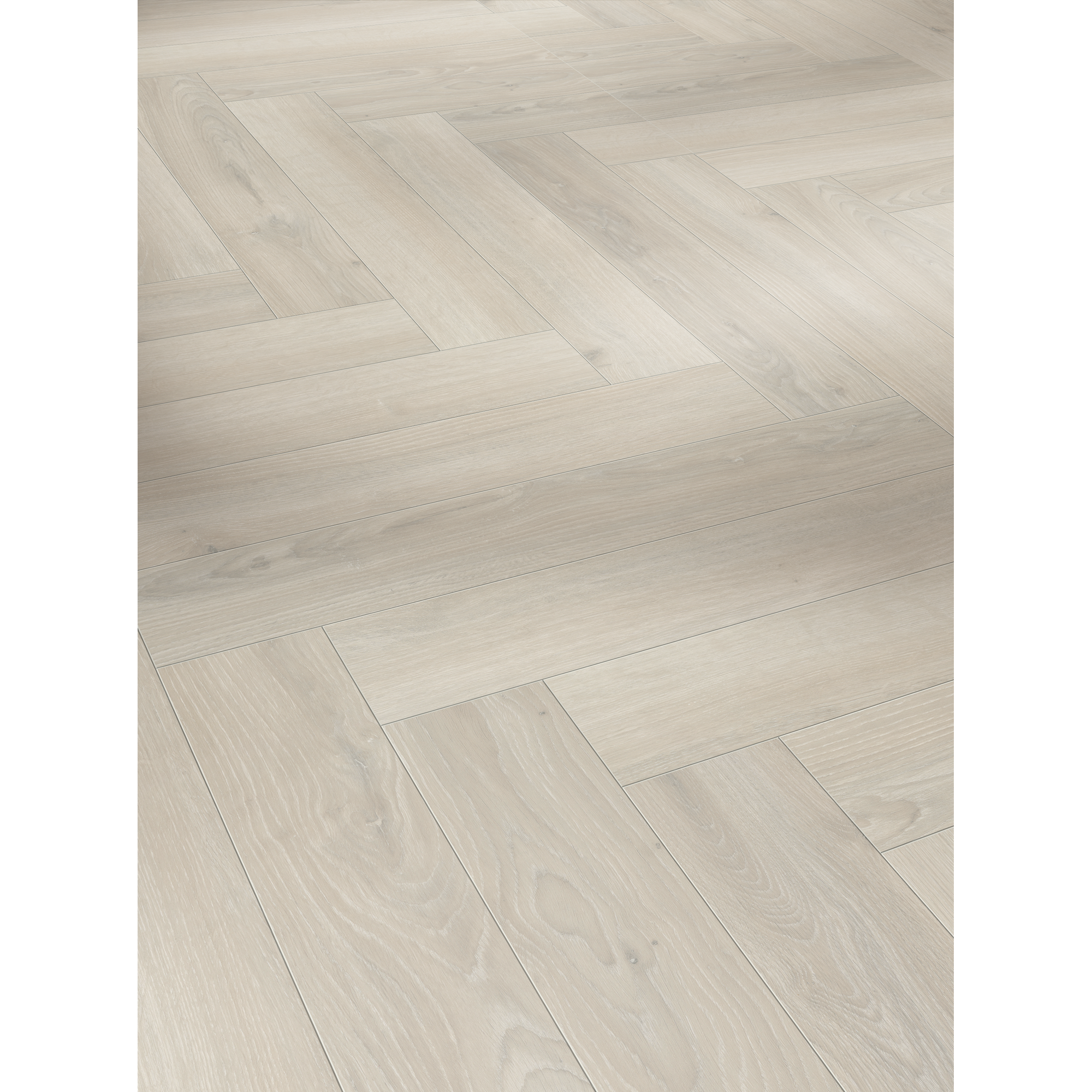 Parador Laminat 'Trendtime 3' Eiche Skyline matt weiß 8 mm