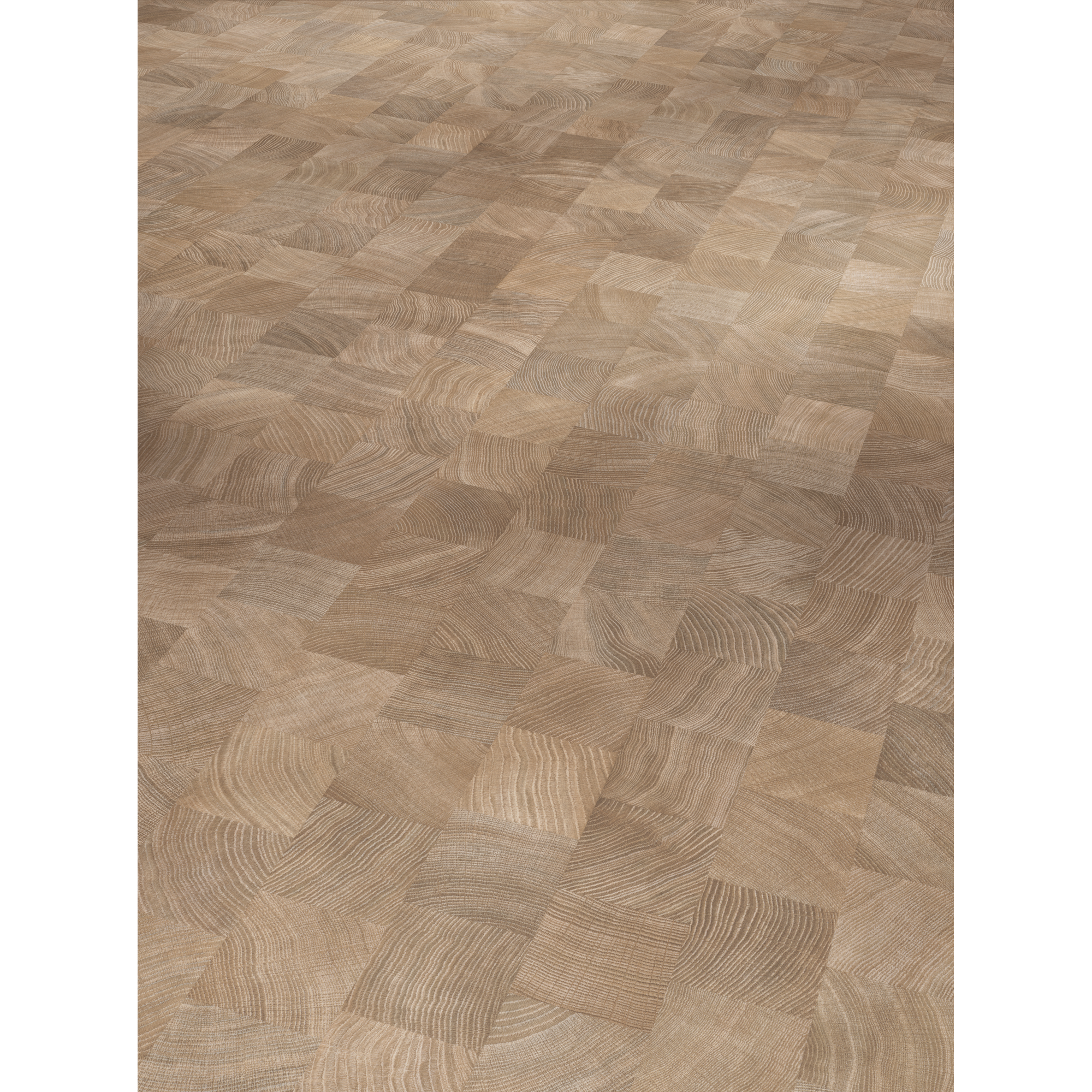 Parador Laminat 'Basic 400' Eiche Hirnholz gekälkt seidenmatt  hellbraun 8 mm