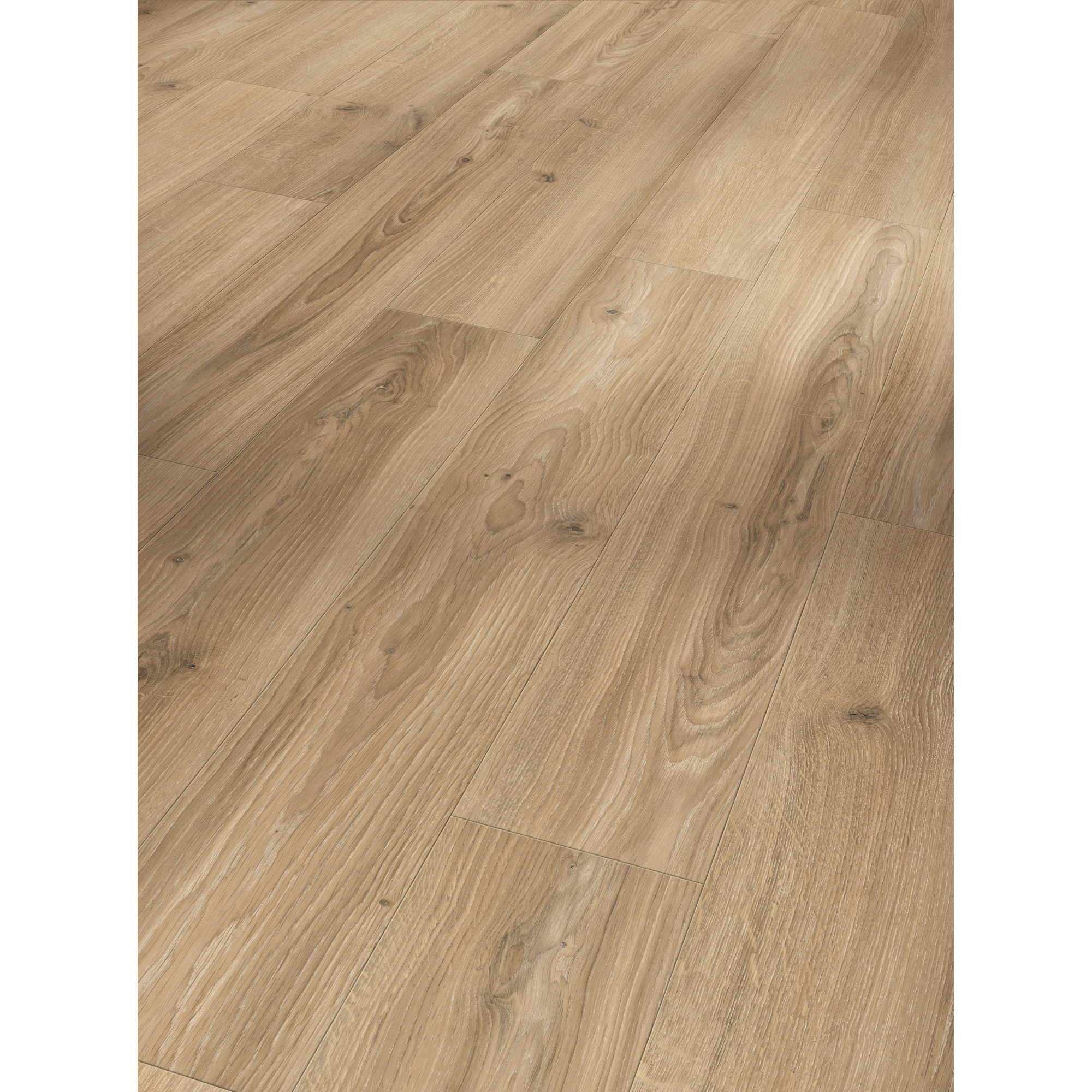 Parador Laminat 'Basic 400' Eiche Studioline matt beige 8 mm