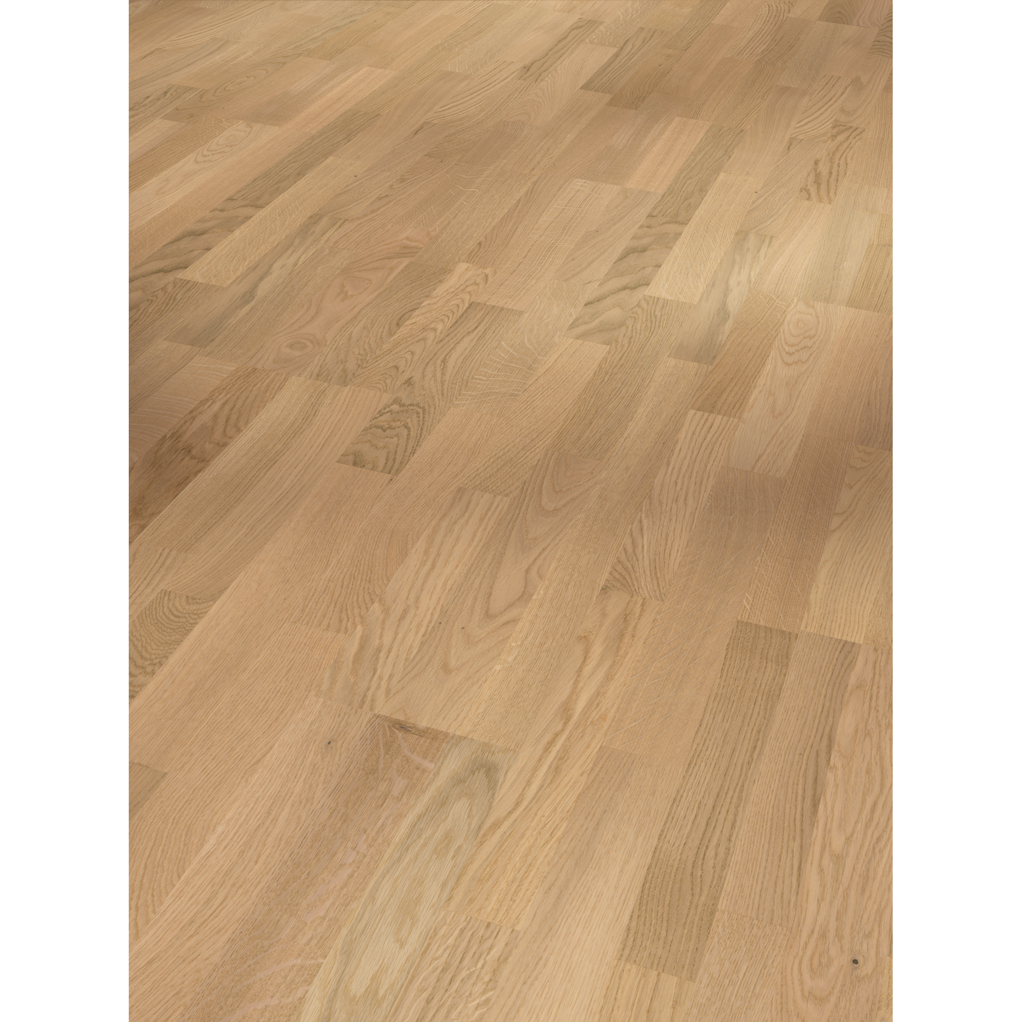 Parador Parkett 'Classic 3060' Eiche Sauvignon geweißt lackversiegelt matt hellbraun 13 mm