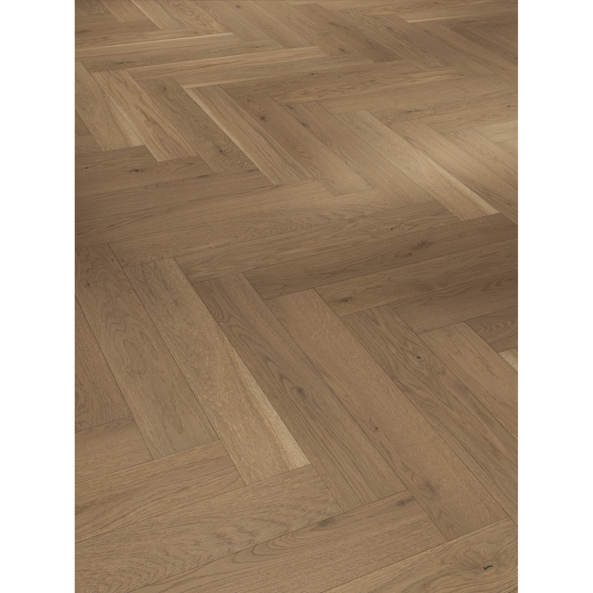 Parador Parkett 'Trendtime 3 Living' Eiche lackversiegelt matt braun 10,5 mm