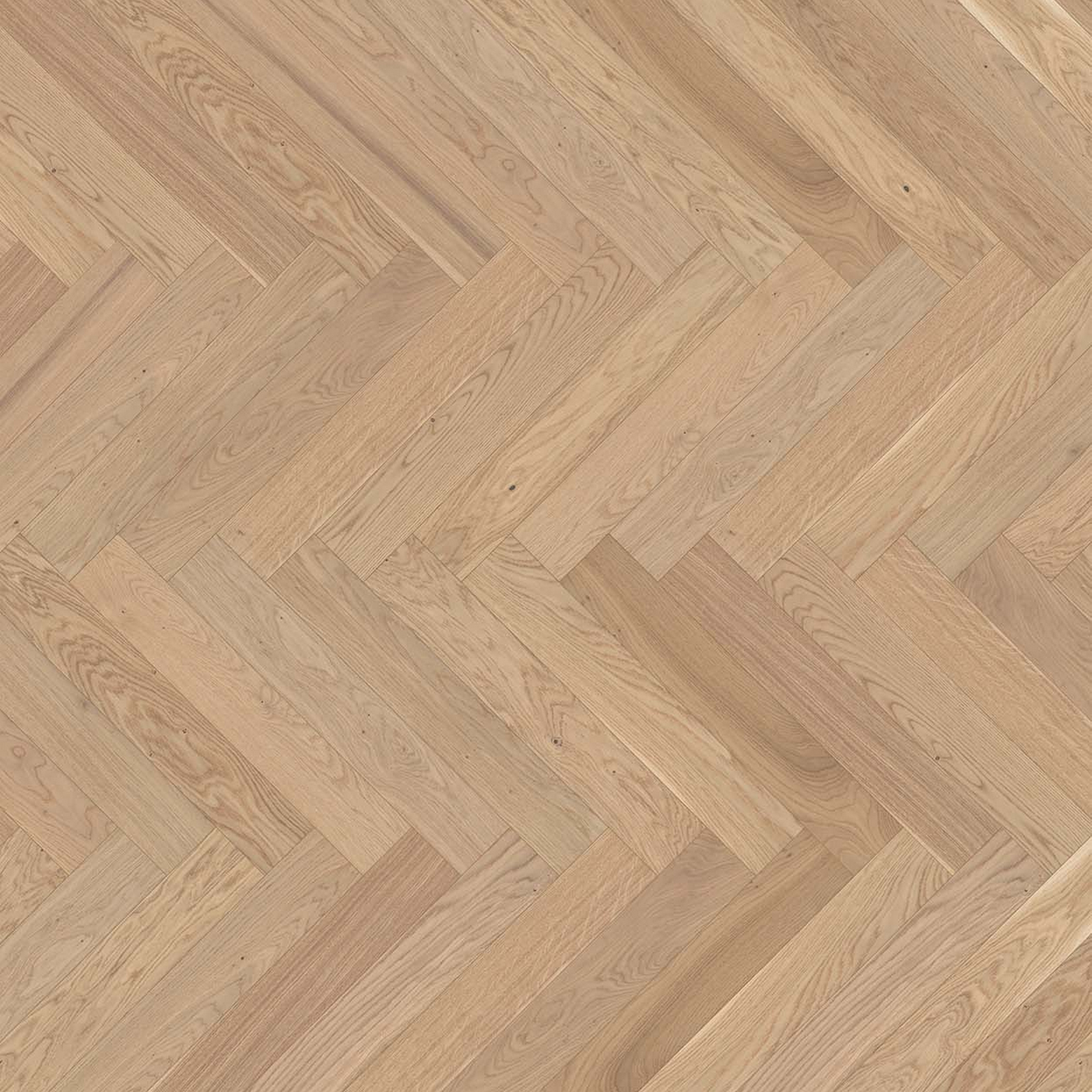 Parador Parkett 'Trendtime 3' Eiche Pure matt braun 10,5 mm