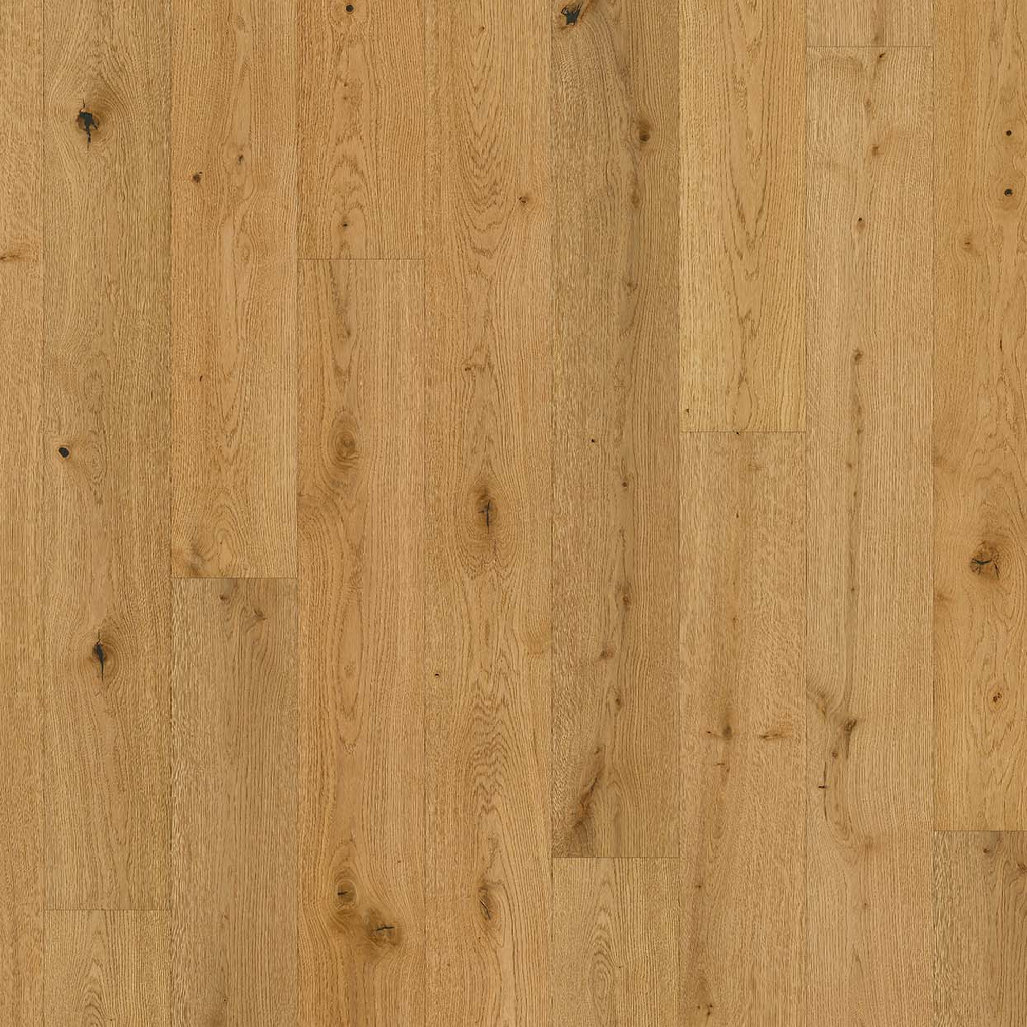 Parador Parkett 'Classic 3060' Eiche naturgeölt plus braun 13 mm