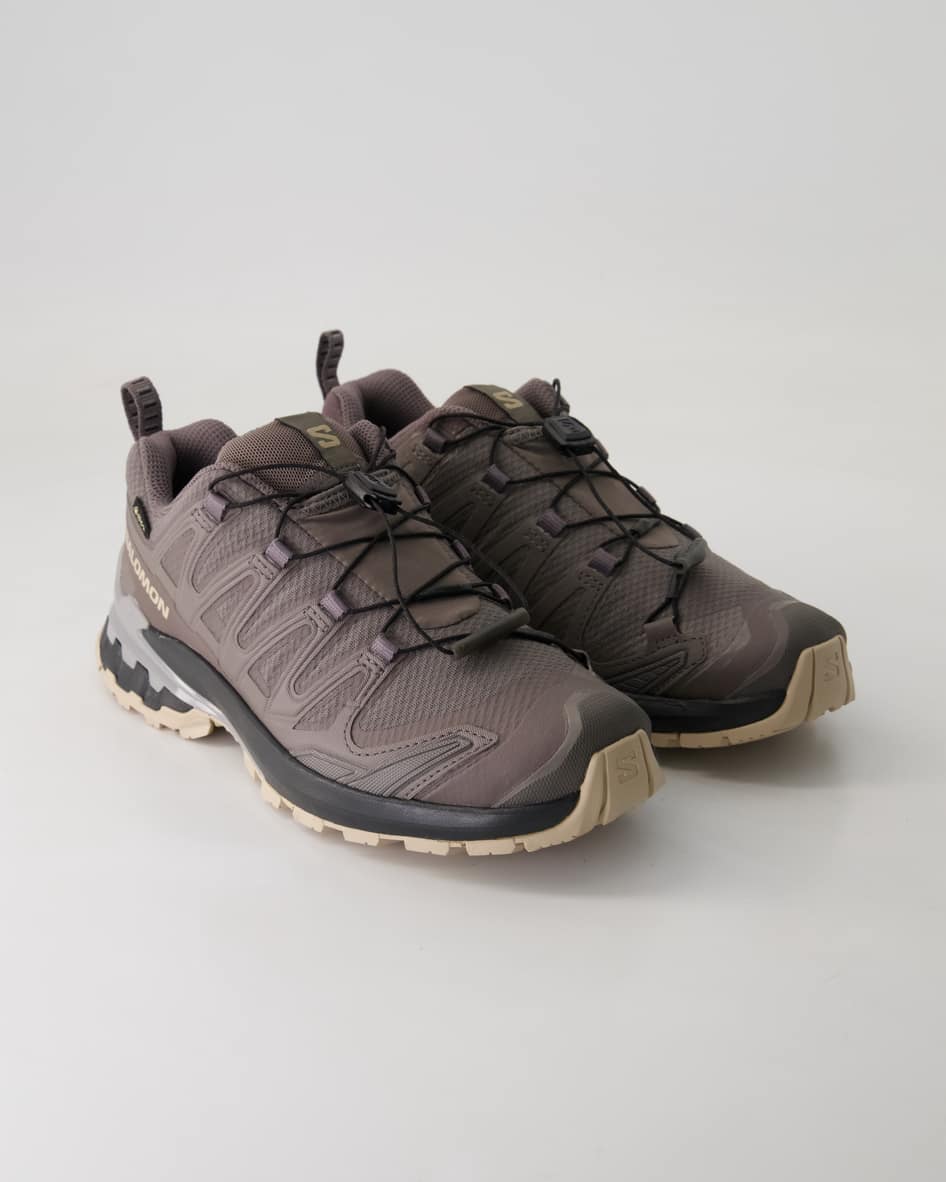 Salomon Schuhe - XA Pro 3D V9 GTX Textil und Synthetik (Braun, Gr. 42)