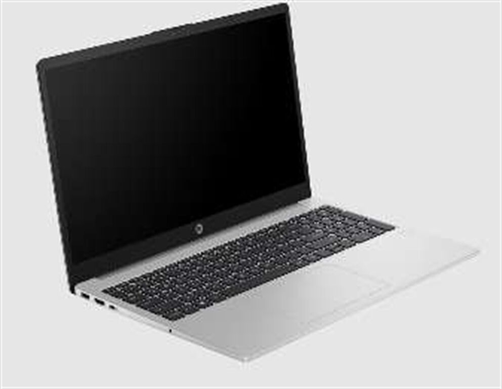 HP 15,6 Zoll Notebook 250 G10 (natural silver)