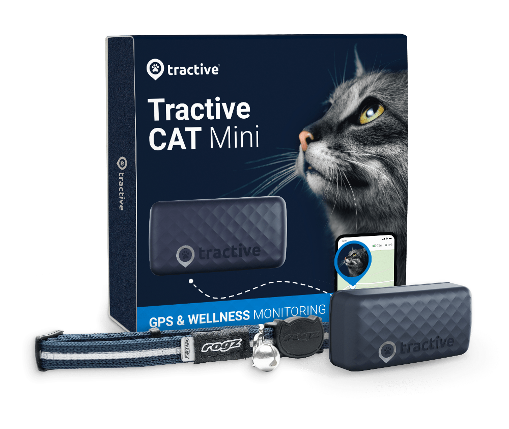 CAT Mini - Dunkelblau