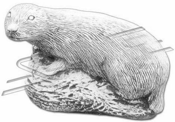 Garten Dekoration Frettchen Terrasse Stein Figuren Figur Statue Skulptur 512 Neu