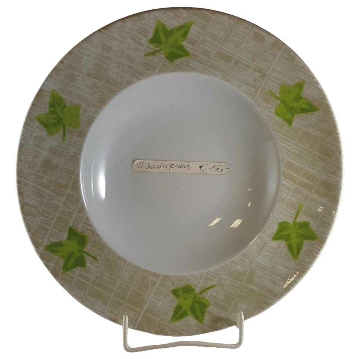 Speiseteller Pastateller 29,8 cm Thomas Porzellan Grün gebraucht - neuwertig