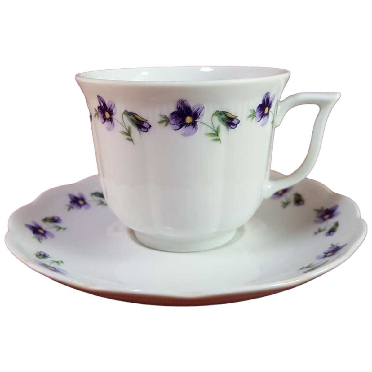 Kaffeetasse mit Untertasse Tasse & Seltmann Weiden Vohenstrauß gebraucht - gut