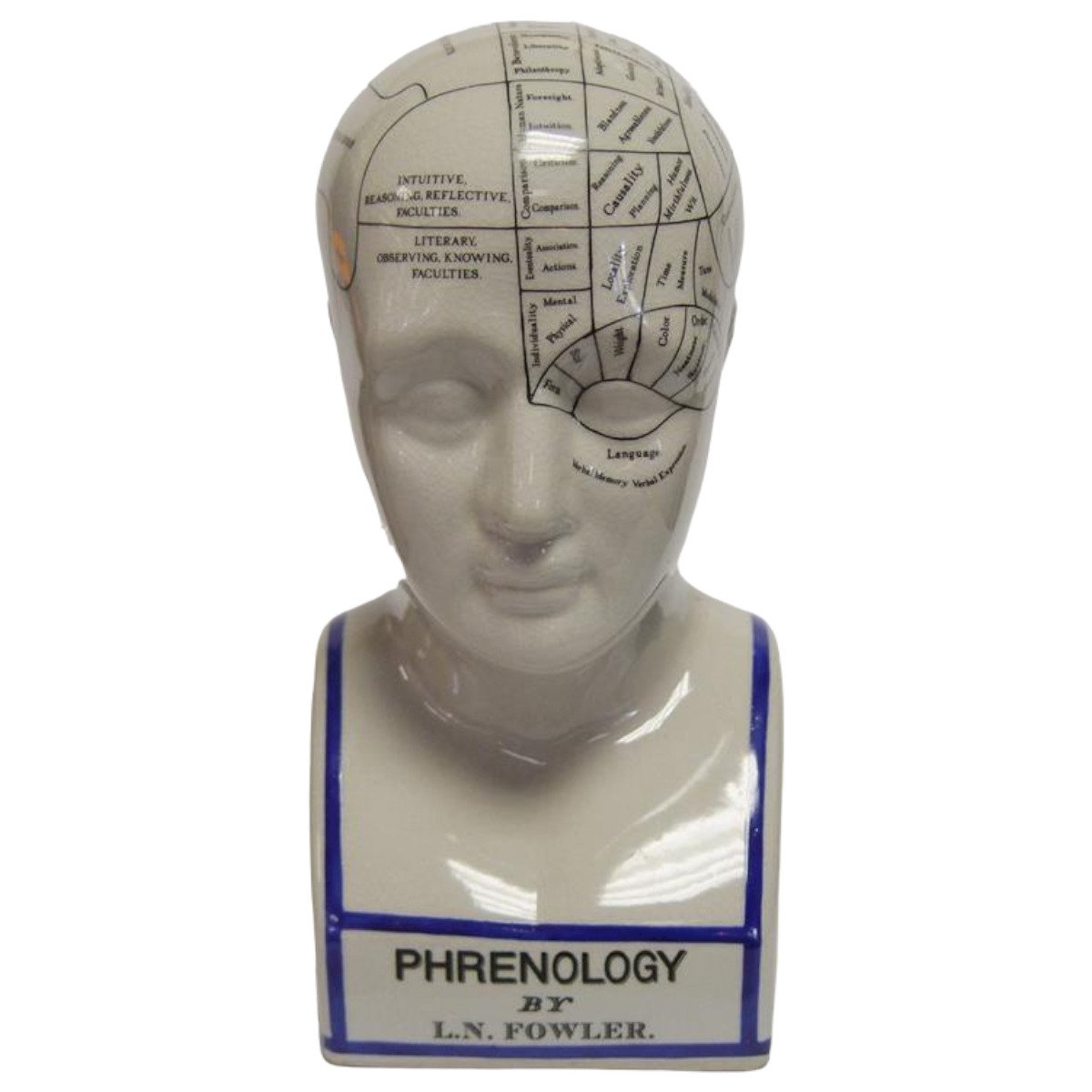 Skulptur Kopf Porzellan Phrenologie