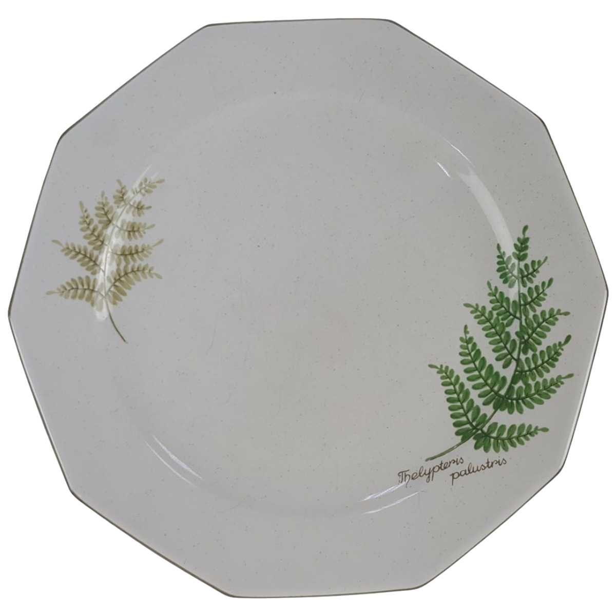 Teller Unterteller für Sauciere 17,5 cm Winterling Kirchenlamitz Farn Thelypteris palustris gebraucht - gut