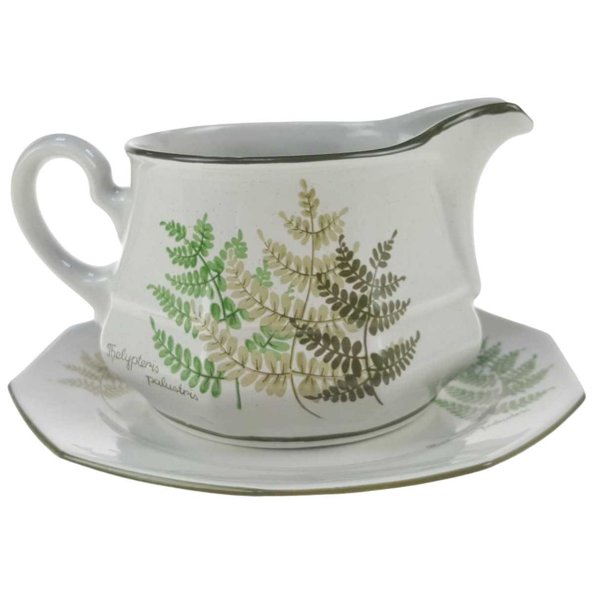 Sauciere mit Teller 2tlg Winterling Kirchenlamitz Farn Thelypteris palustris