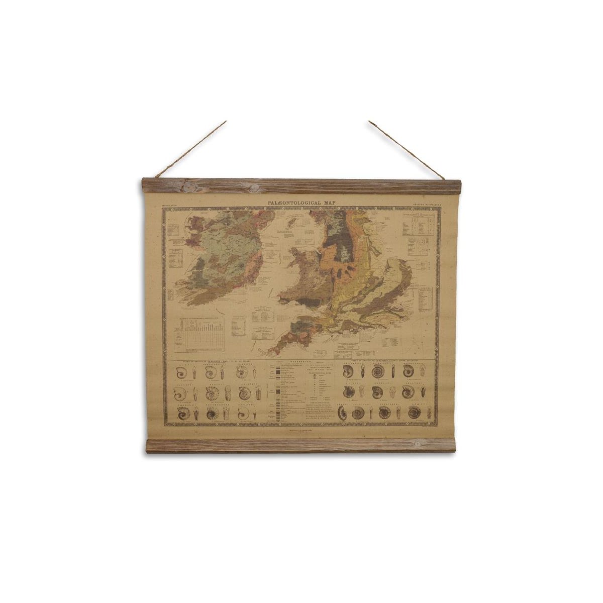 Schulkarte Leinen Paläontologische Karte