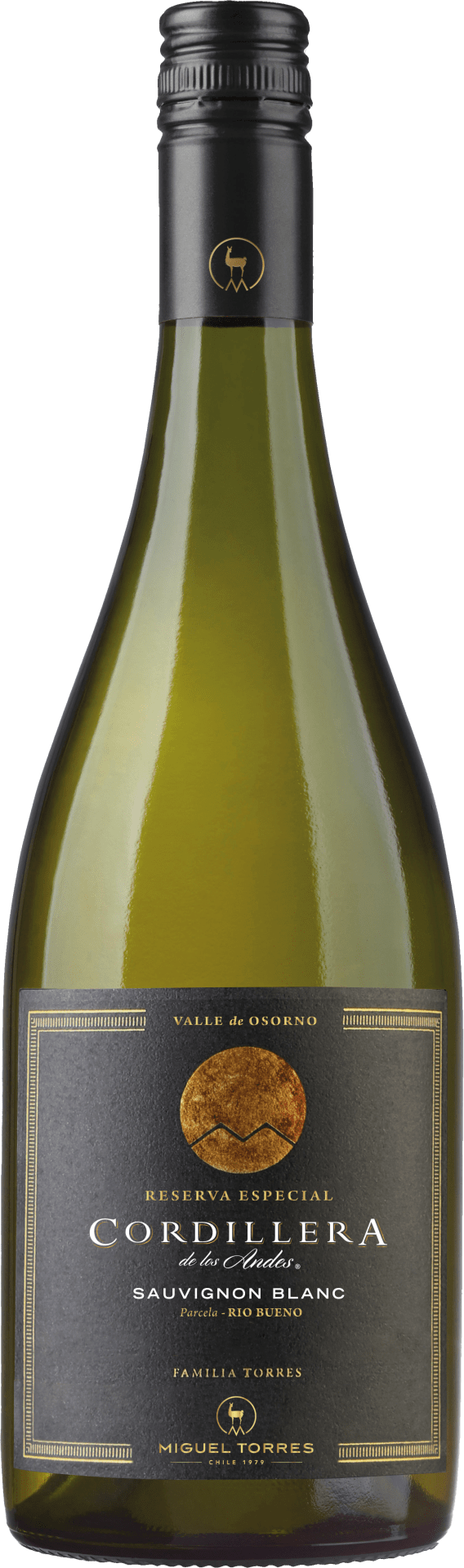 Miguel Torres Chile Cordillera Sauvignon Blanc Elqui Valley - 2024