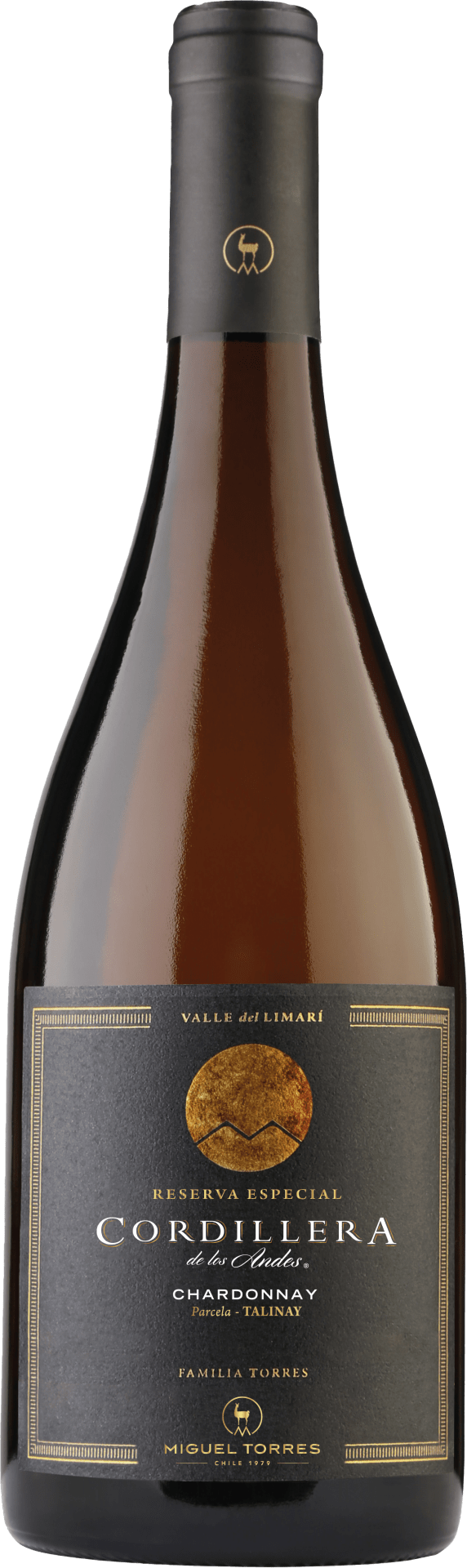 Miguel Torres Chile Cordillera Chardonnay Limari Valley - 2024